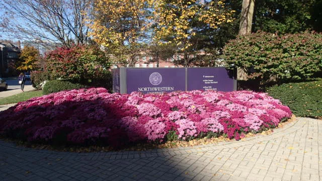 PB051816.jpg