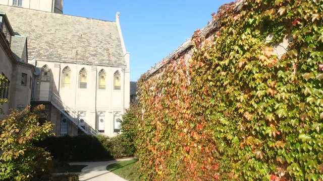 fall at Northwestern.jpg