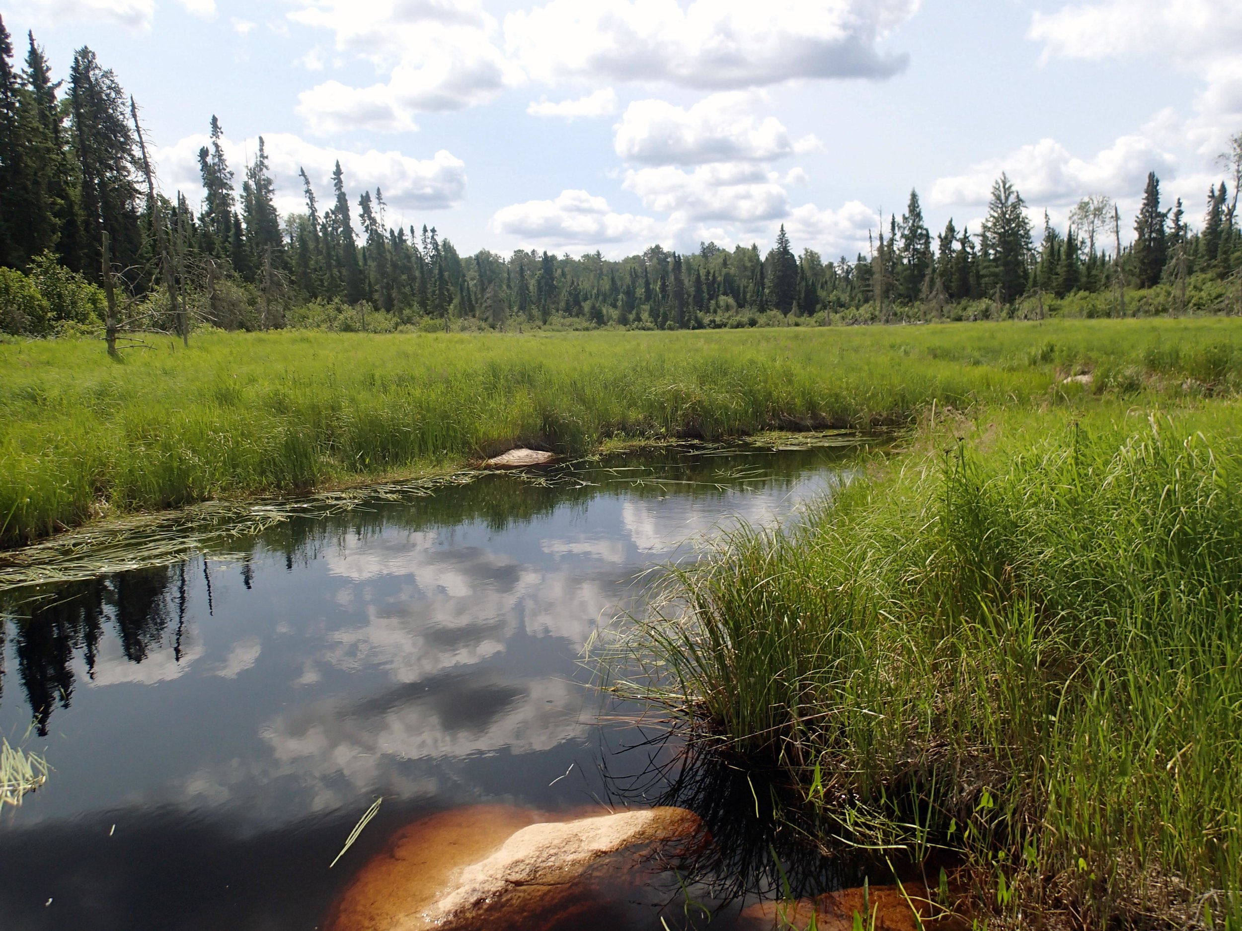 first day in BWCA.jpg