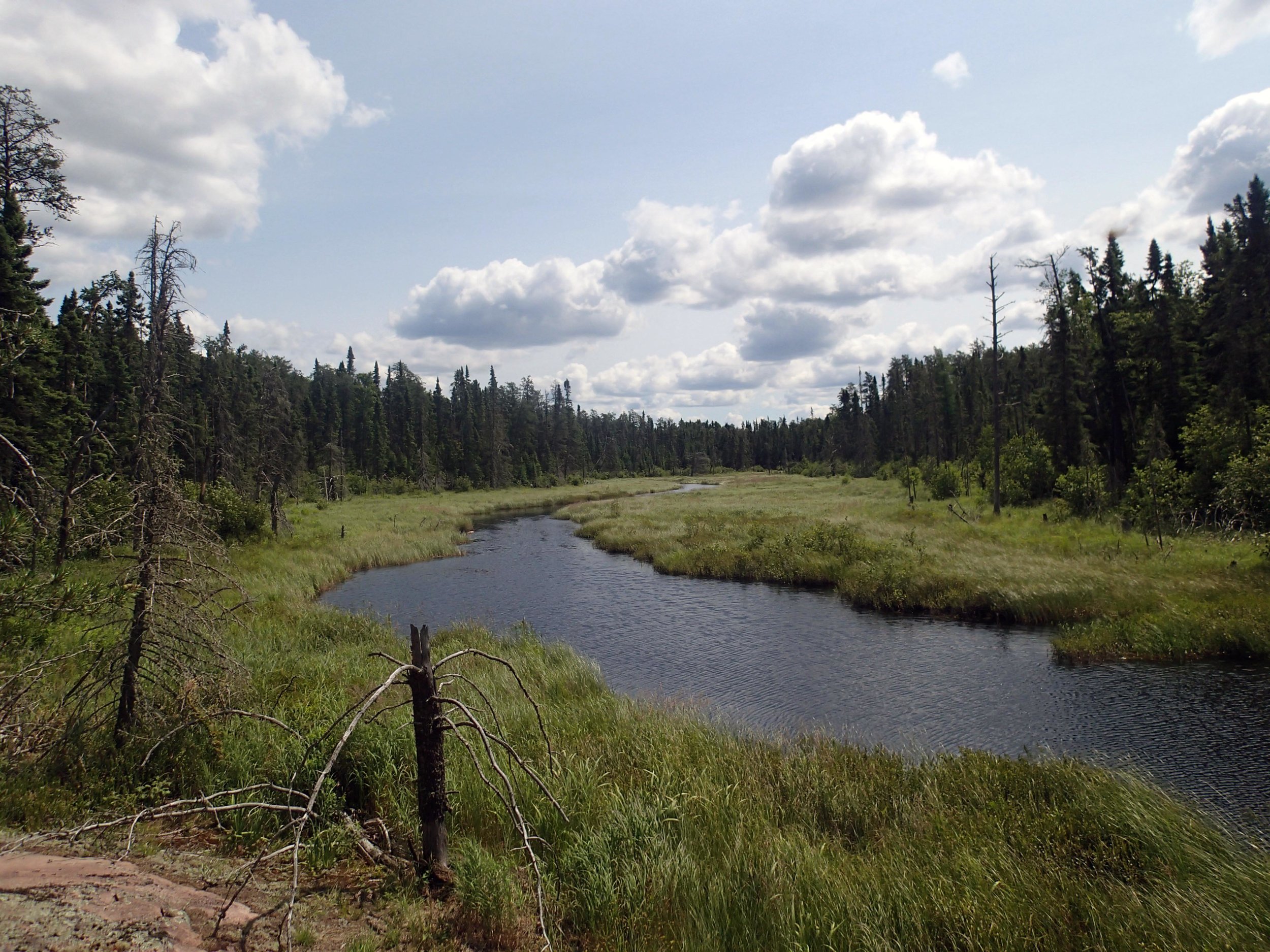 Stuart River.jpg