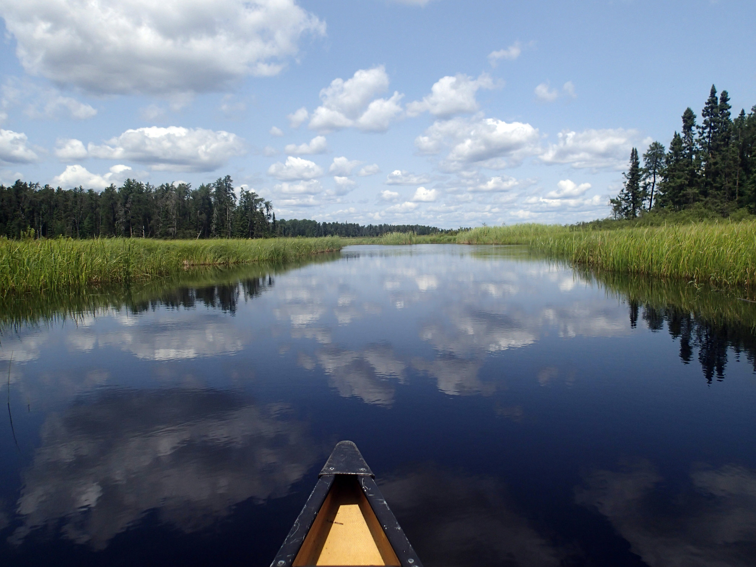 great shot of Stuart River.jpg