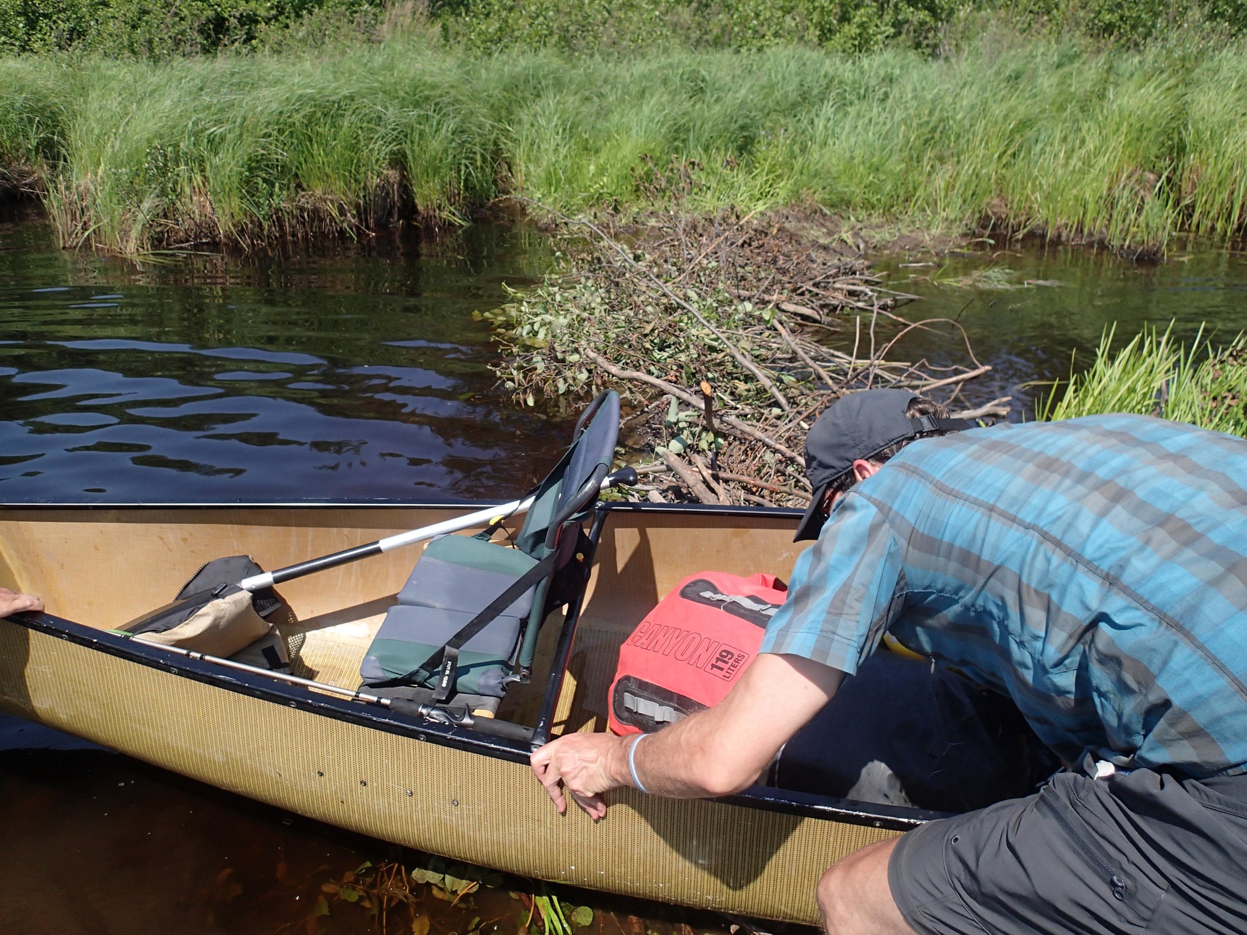 crossing a beaver dam.jpg