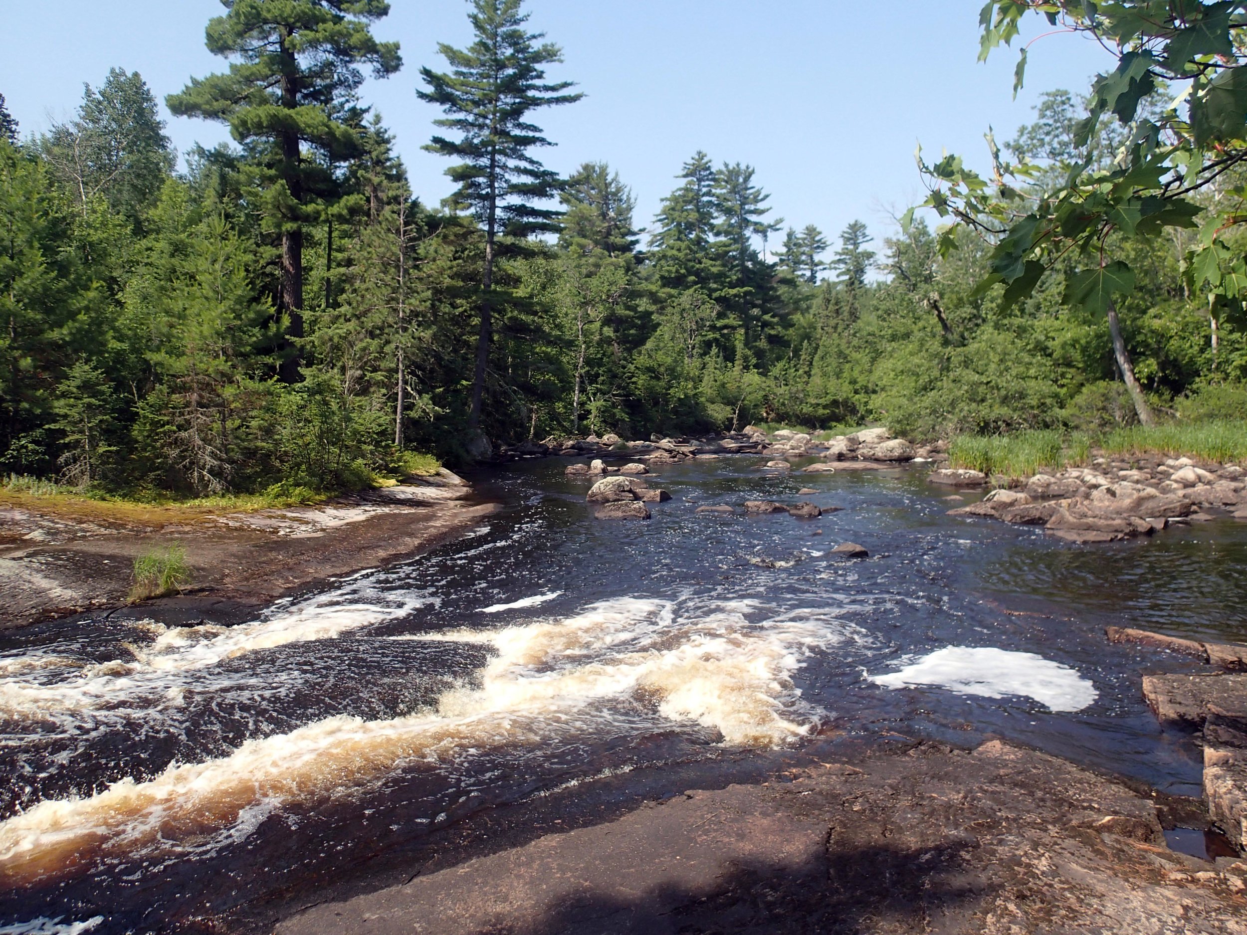 mighty Moose River.jpg