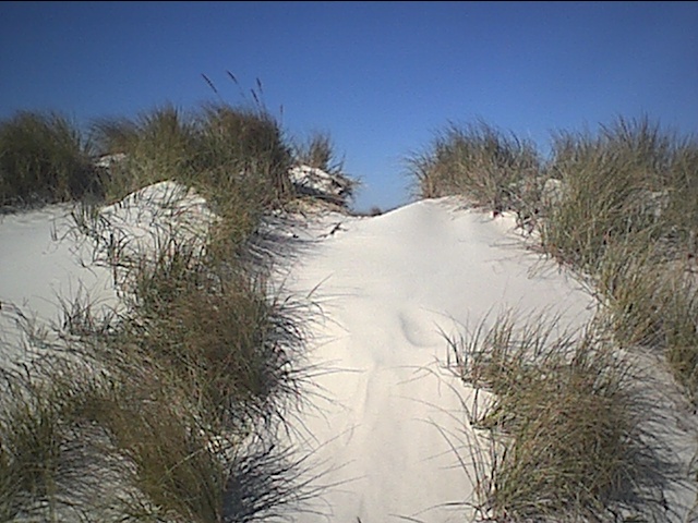 cedar island sand dune.JPG