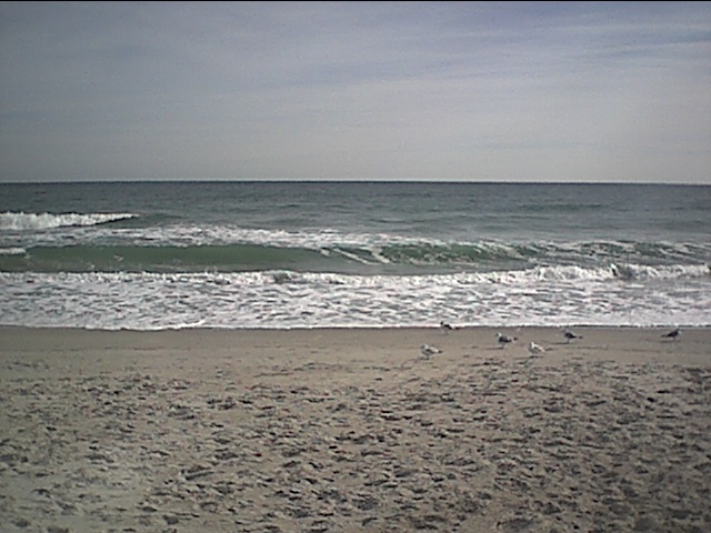 1-12-03 wrightsville beach with seagulls.JPG