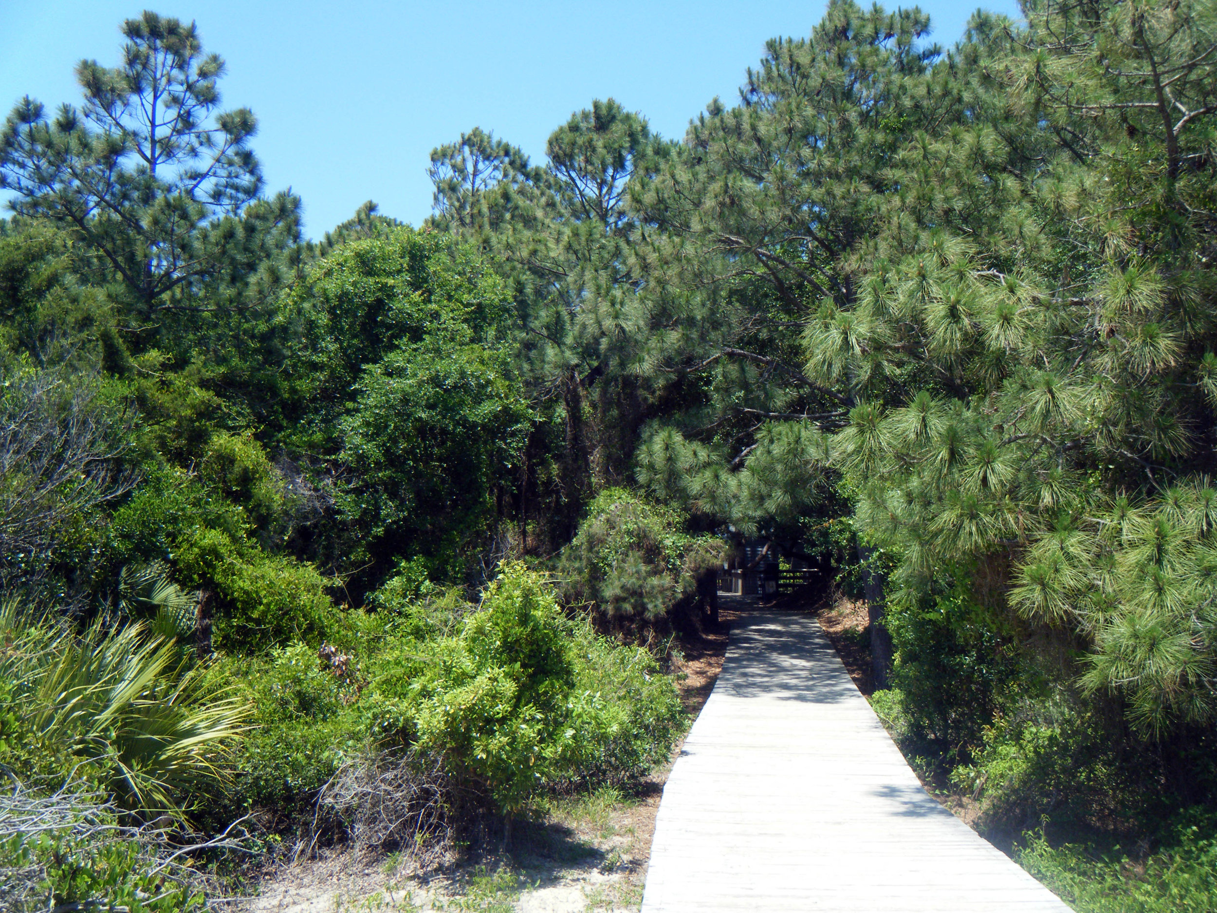 Kiawah Island boardwalk.jpg