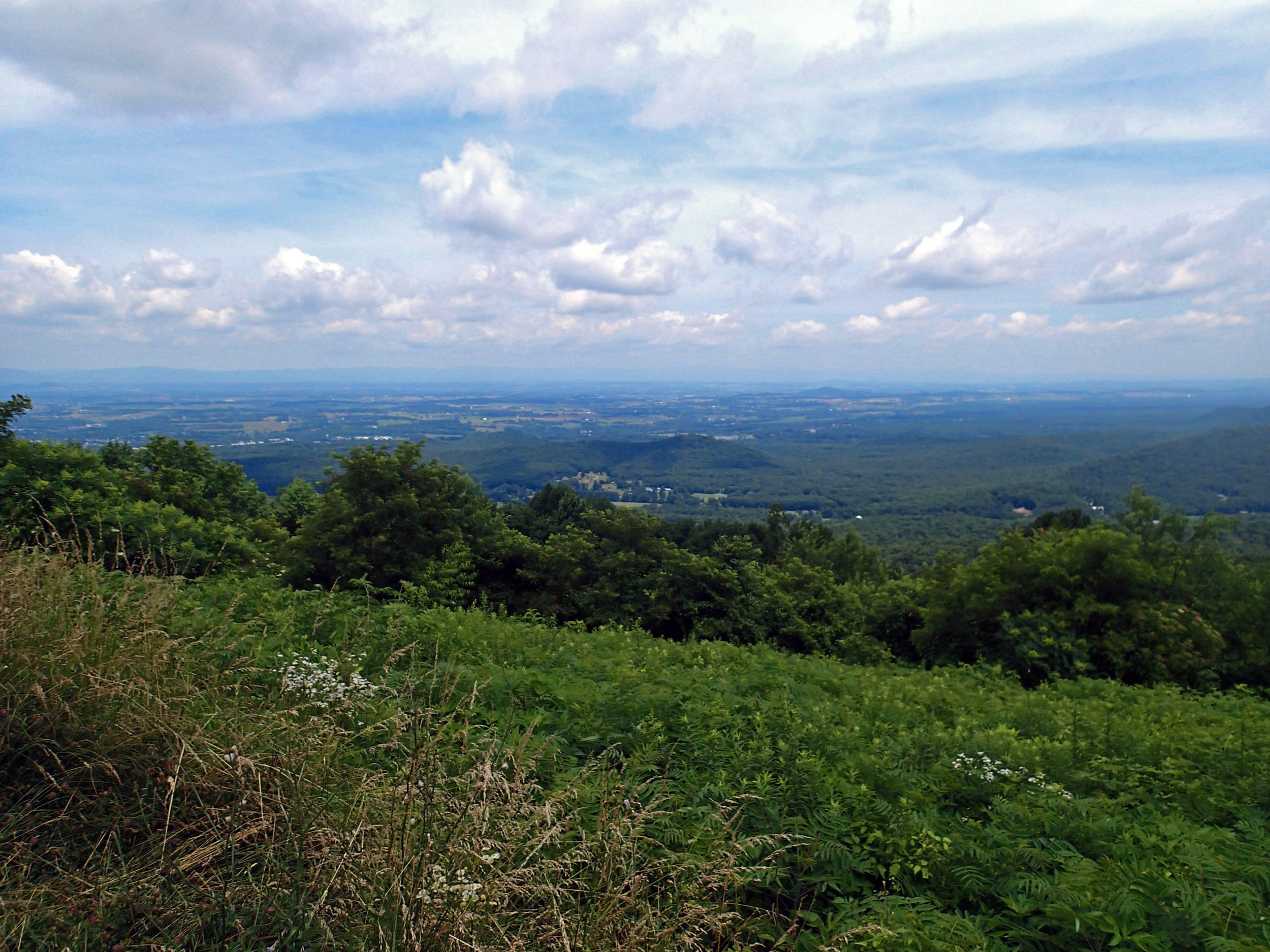 beautiful Shenandoah.jpg