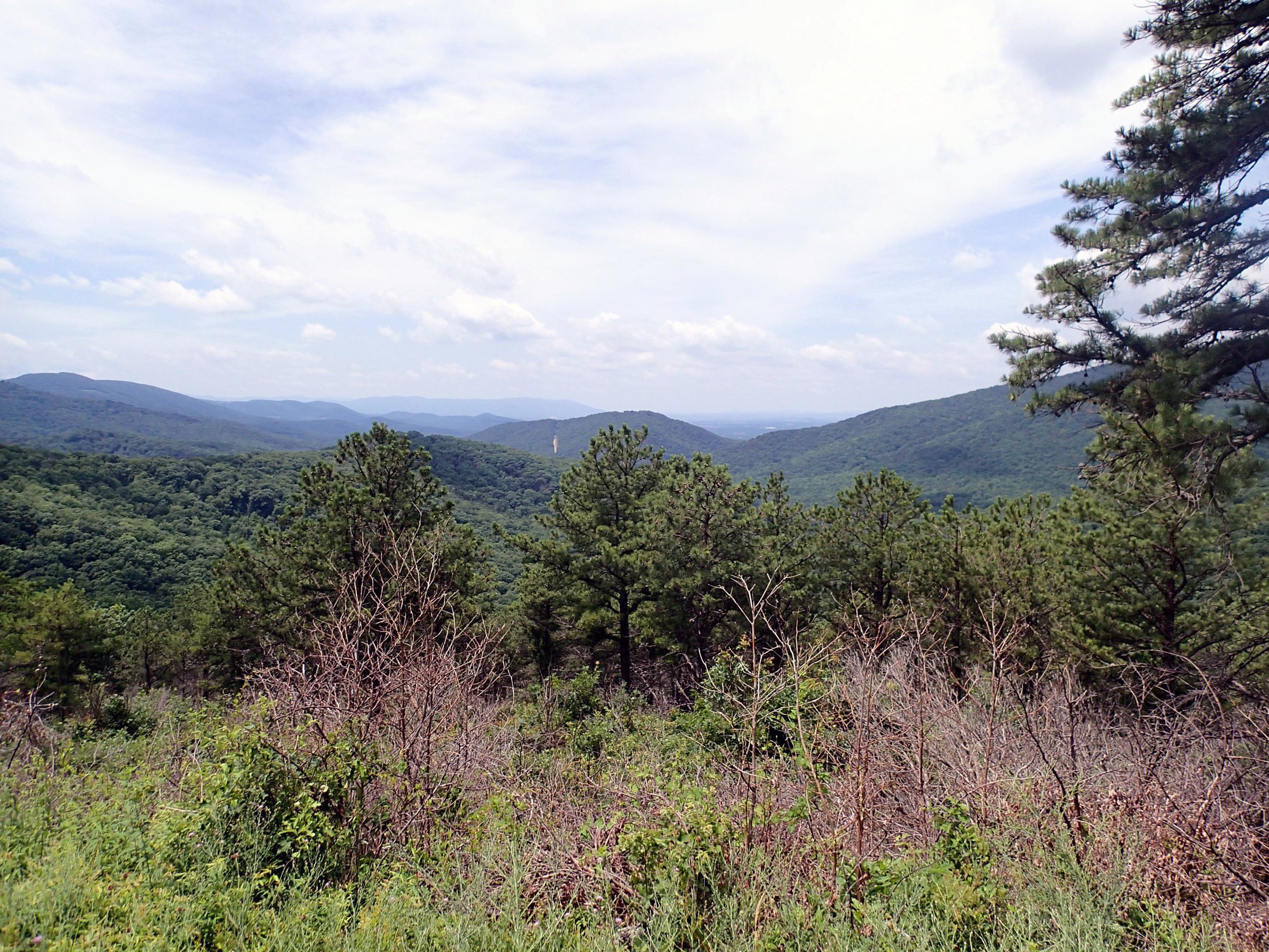 Blue Ridge Mountains.jpg