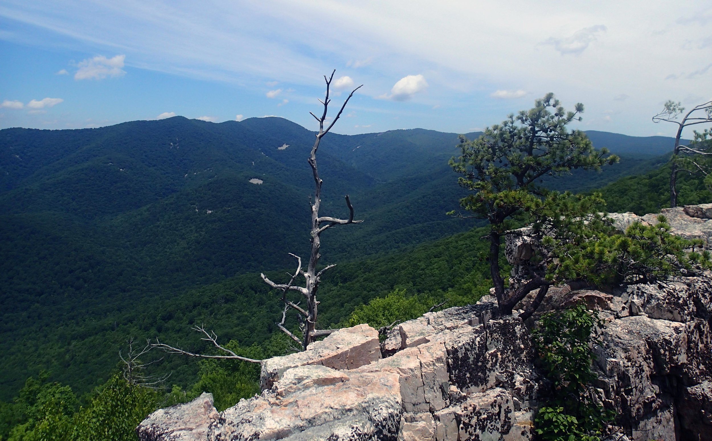 hiking the Shenandoah.jpg