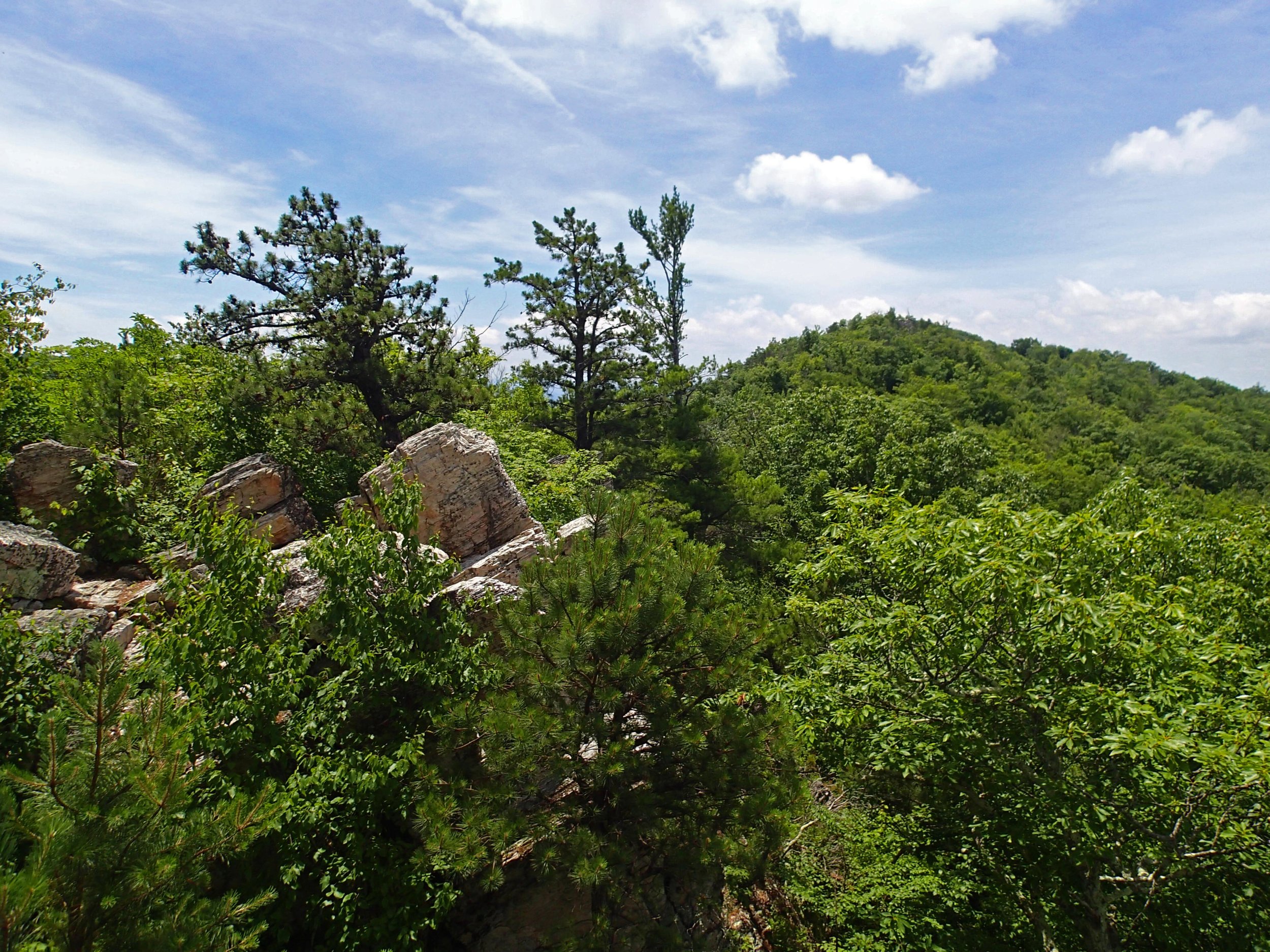 Riprap Trail.jpg