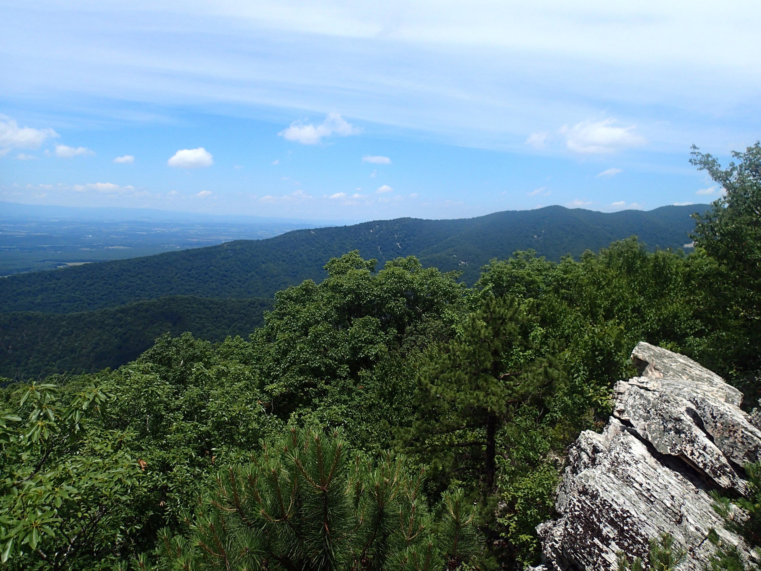 view from Riprap trail 6-24-15.jpg