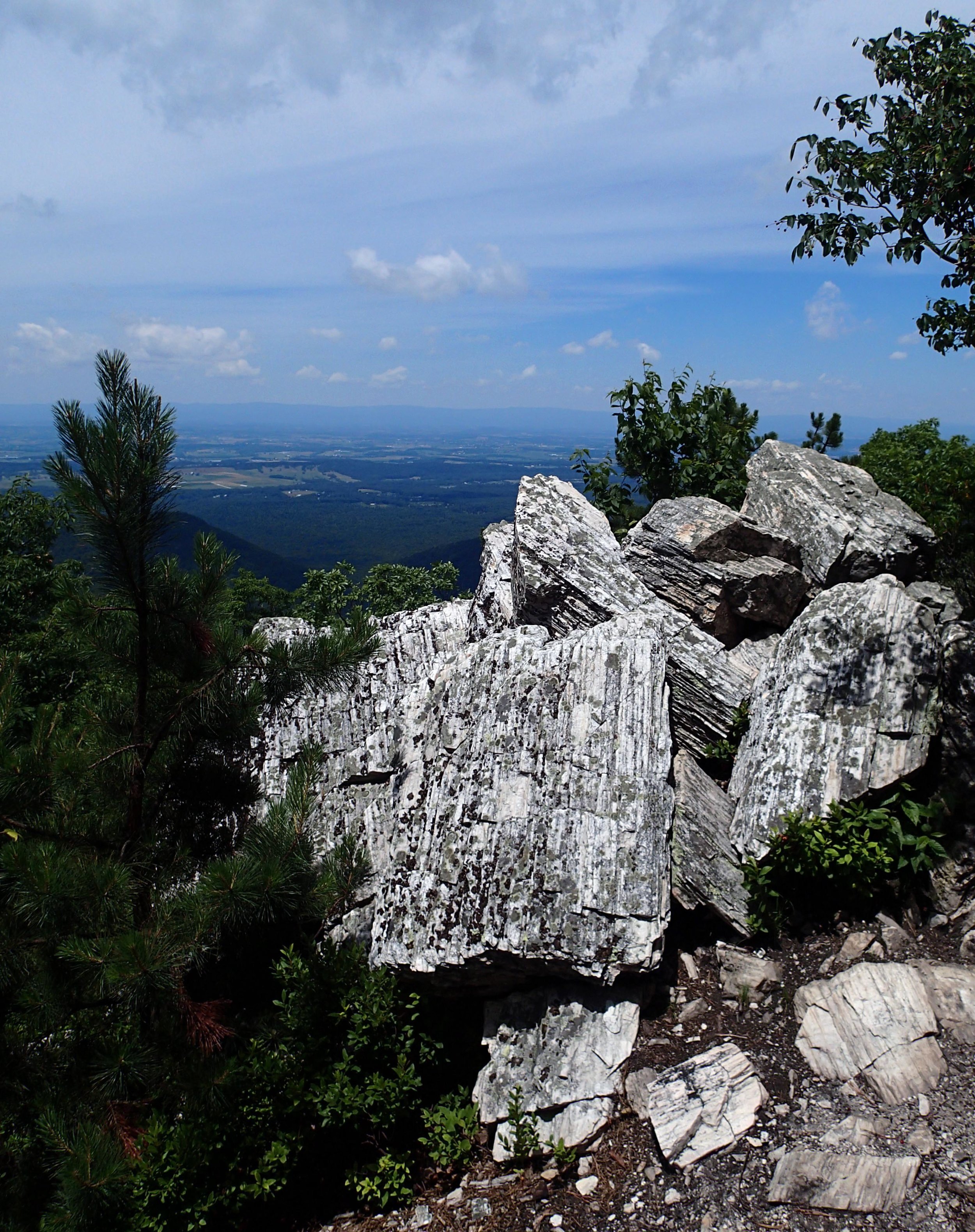 view from Riprap trail.jpg