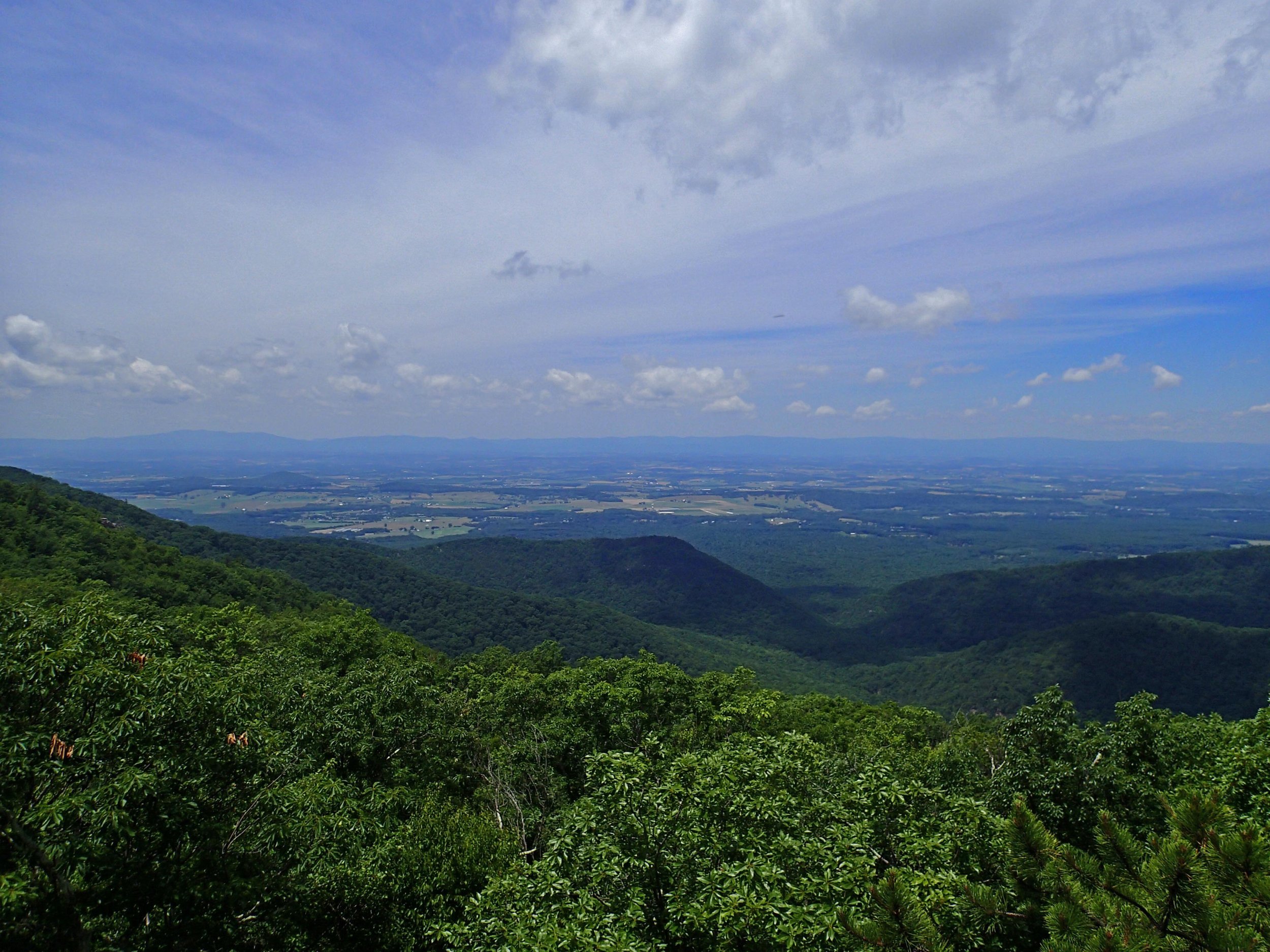 view from Skyline Dr 6-24-15.jpg