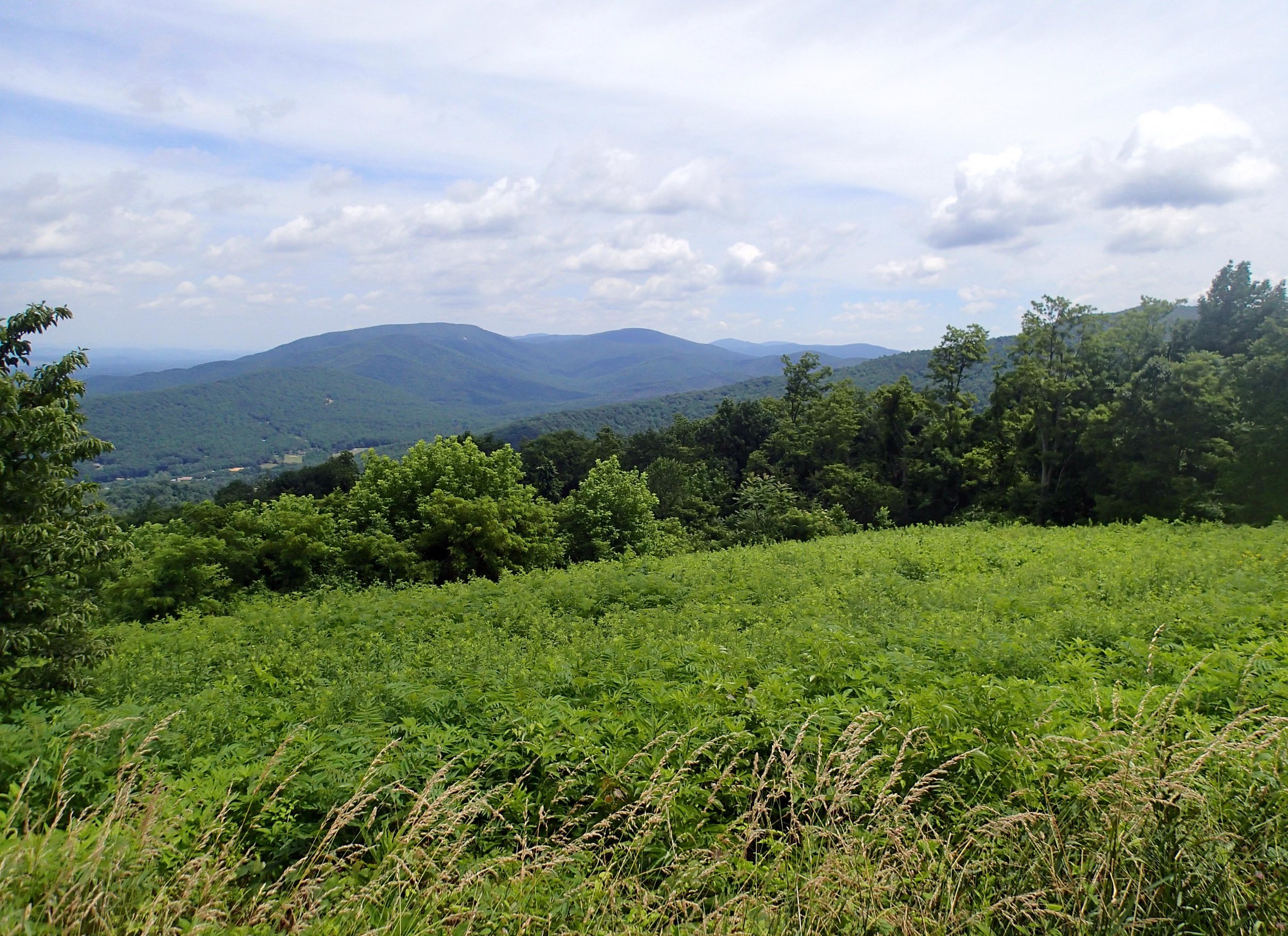 view from Skyline Dr.jpg