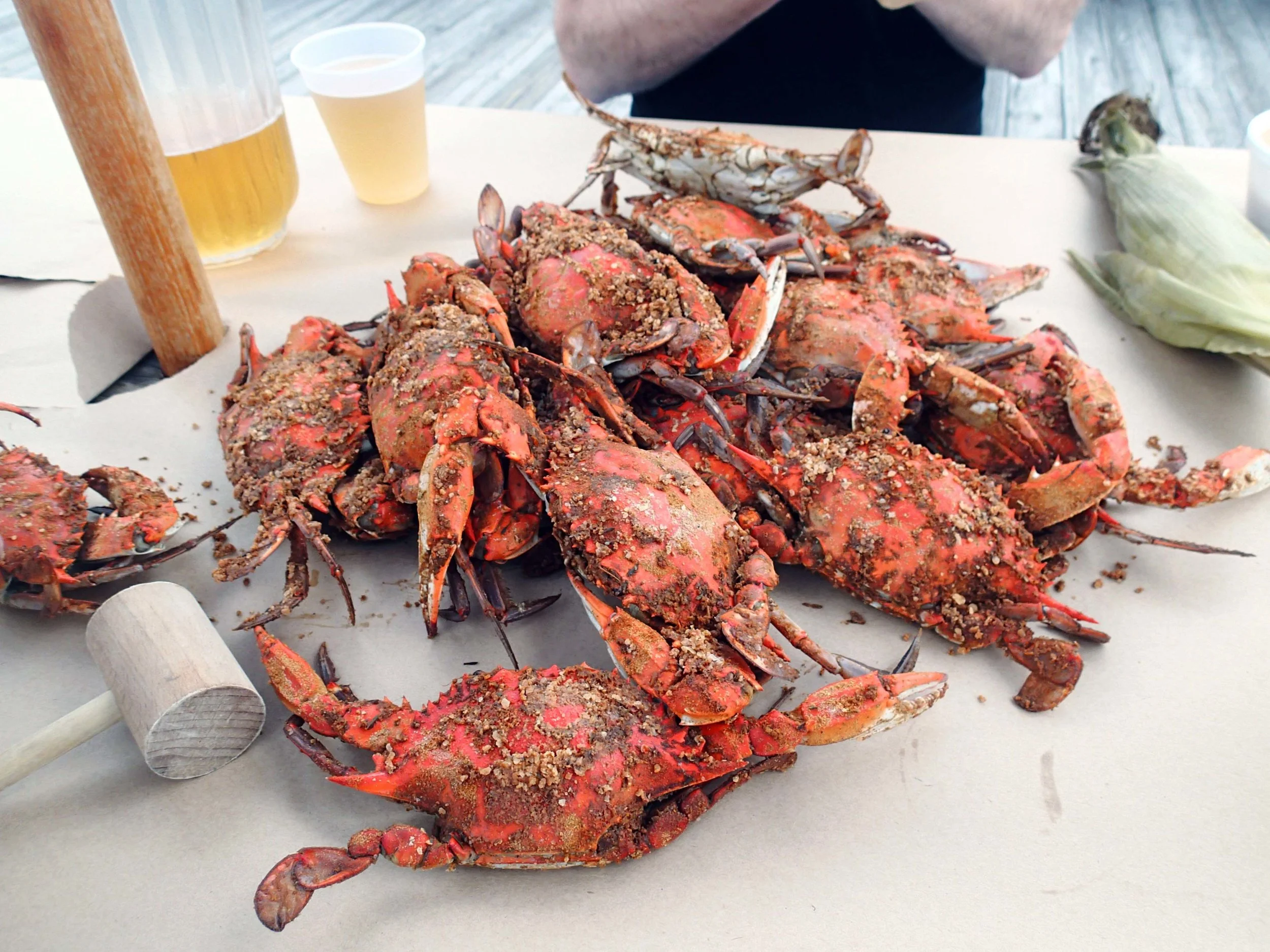 all you can eat crabs.jpg