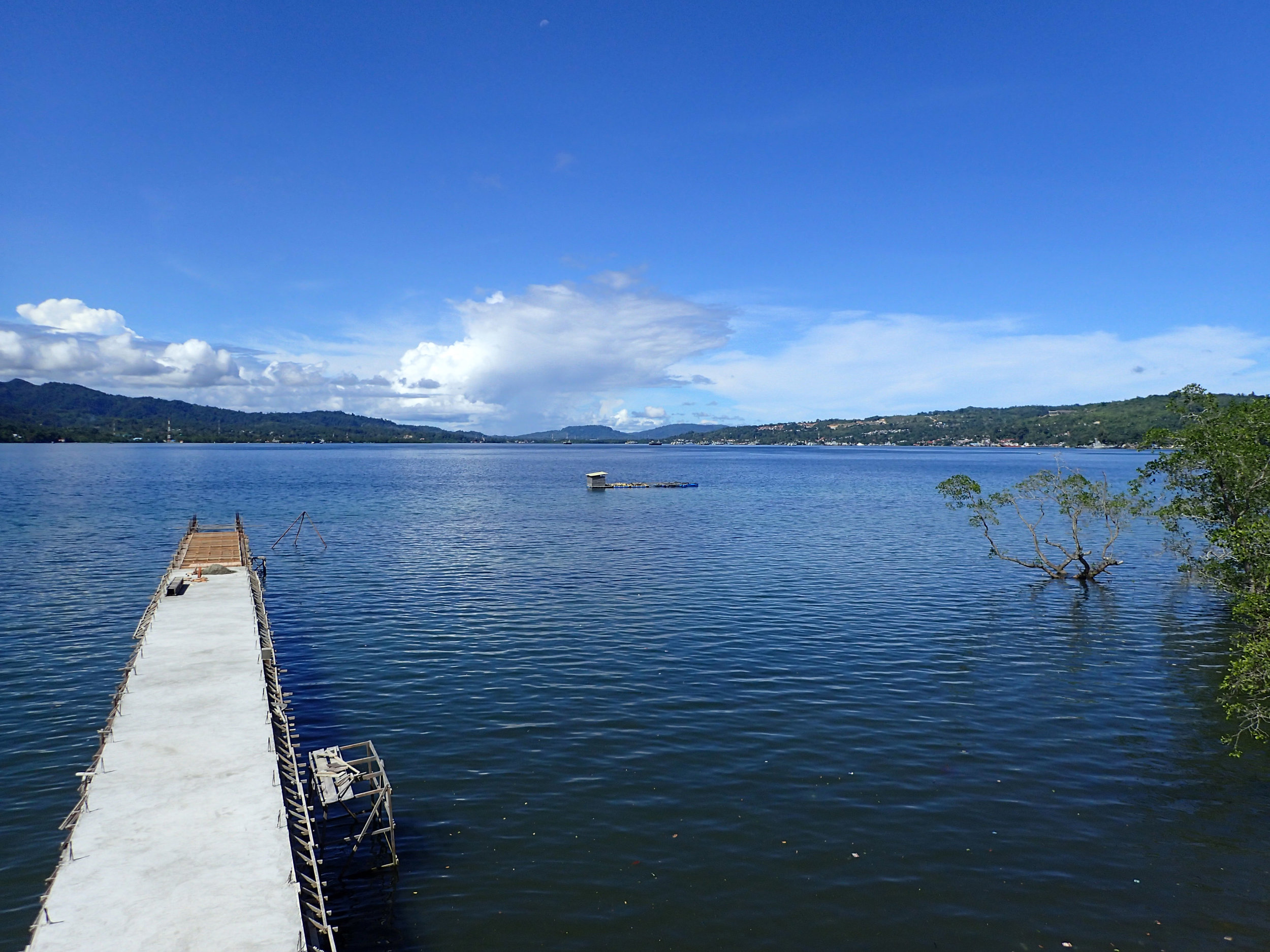 view from marine bio building.jpg