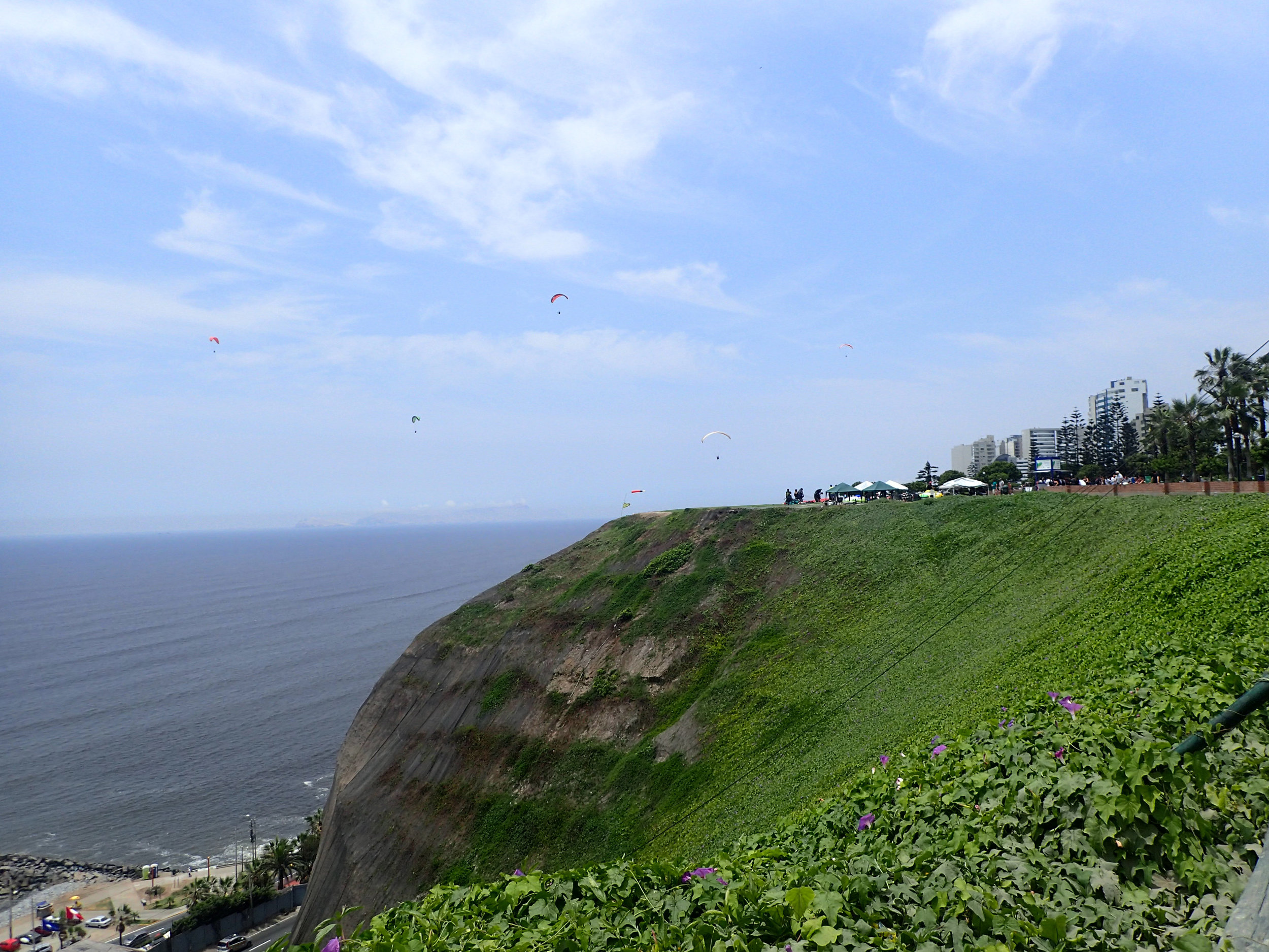 coastal bluffs 1-6-18.jpg