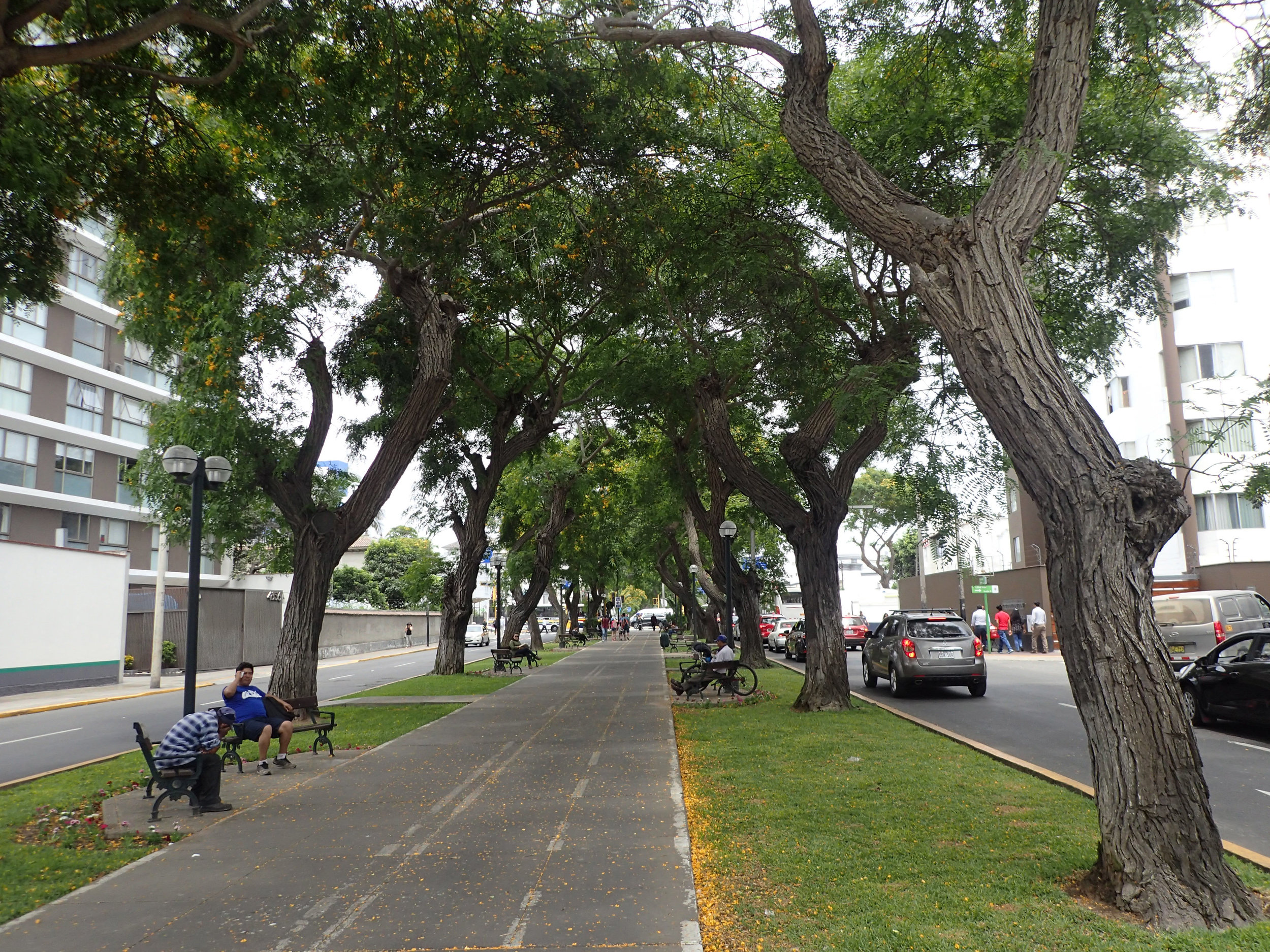 pedestrian walkway.jpg