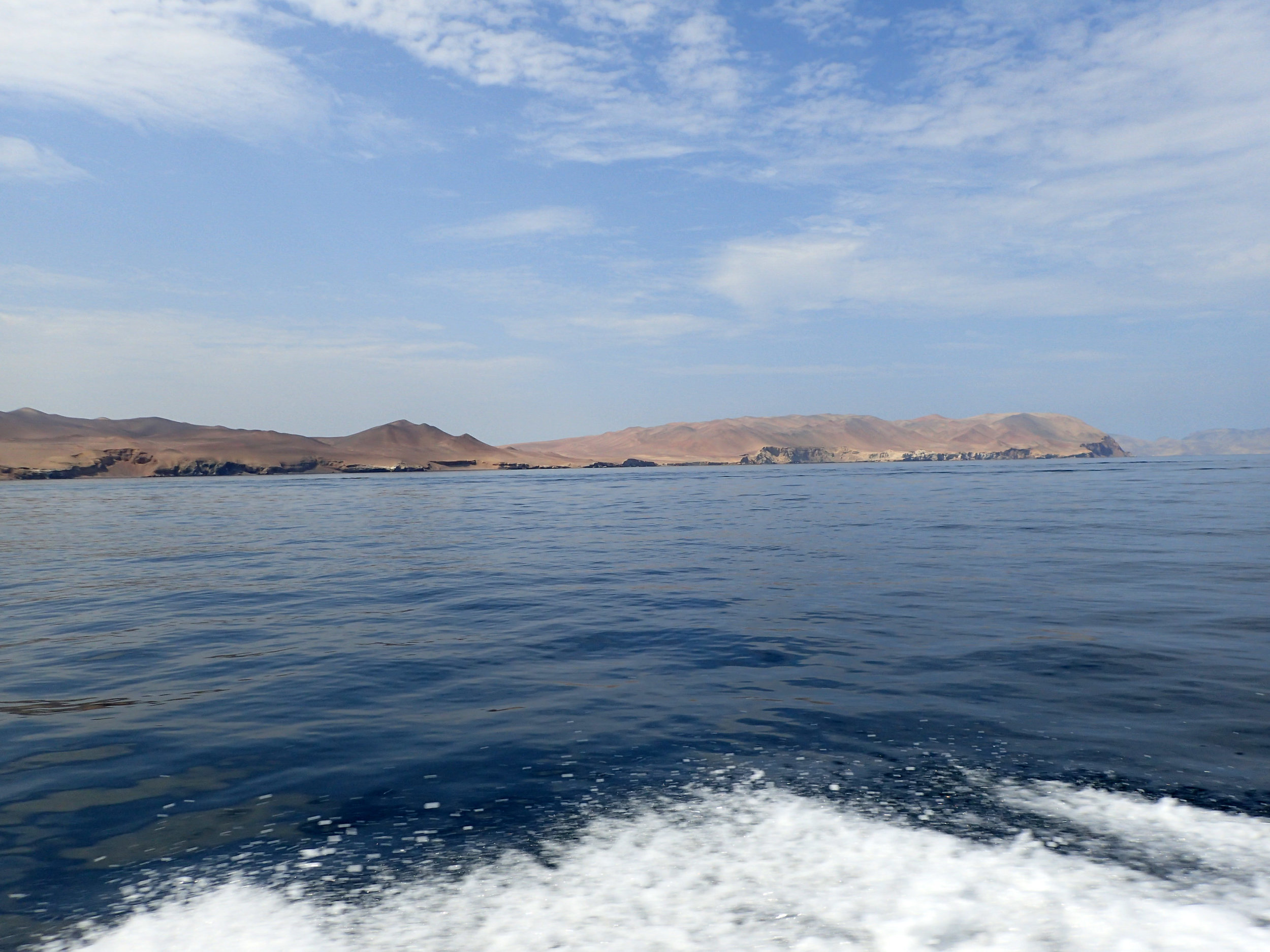 Paracas Peninsula.jpg