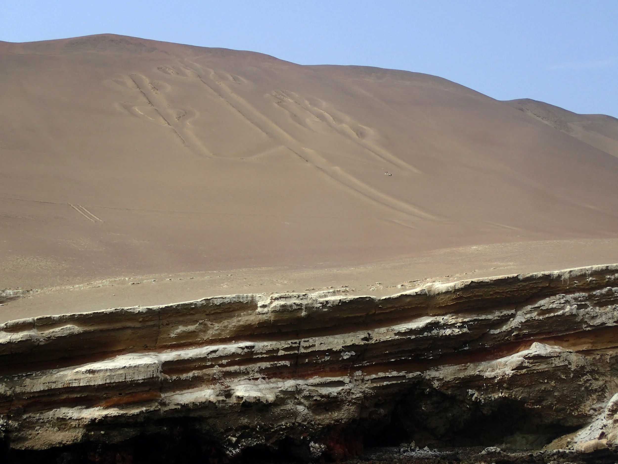 P1093167.jpg