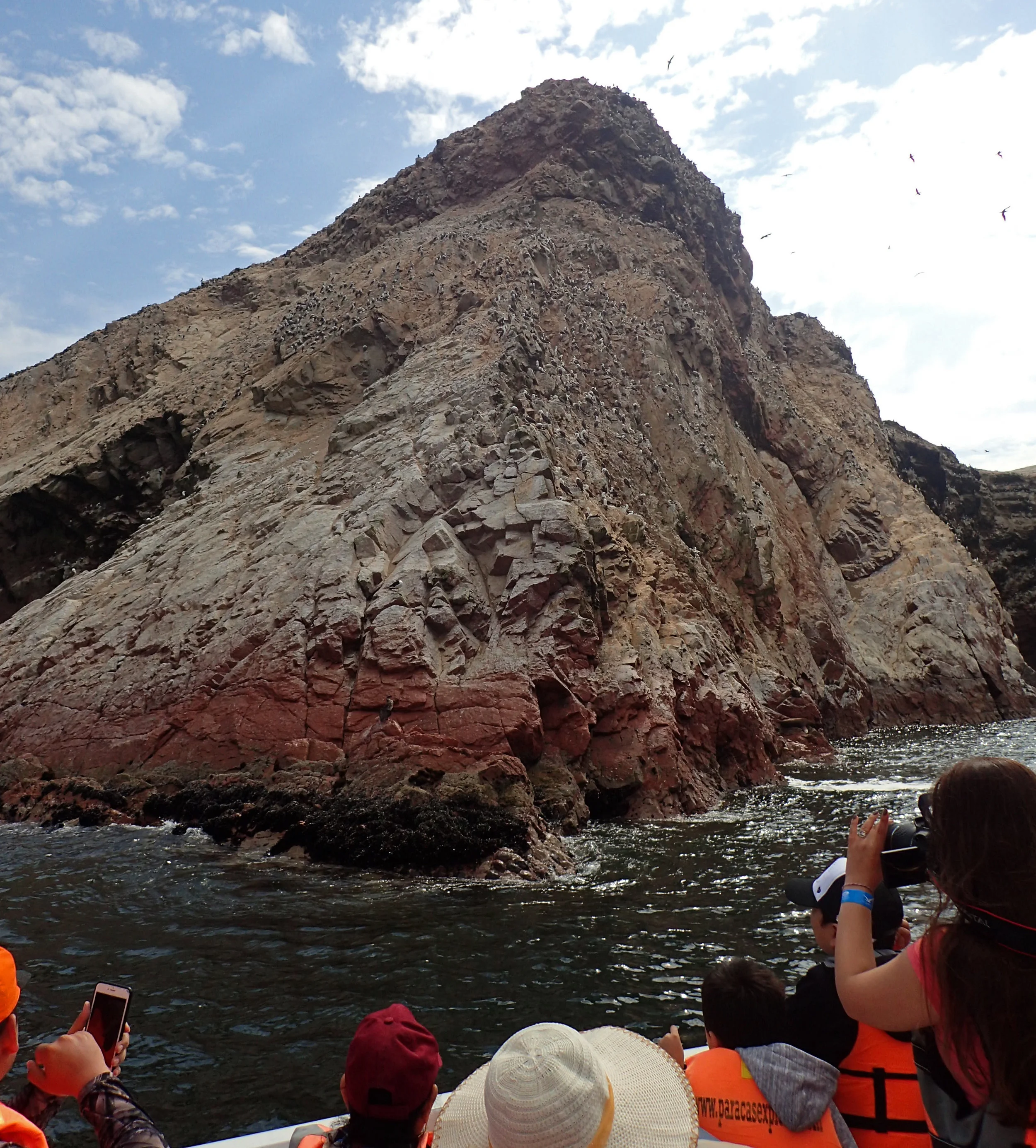 P1093223.jpg