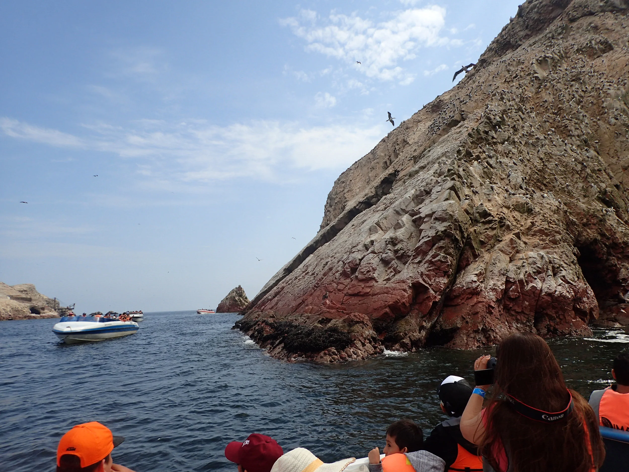 P1093224.jpg