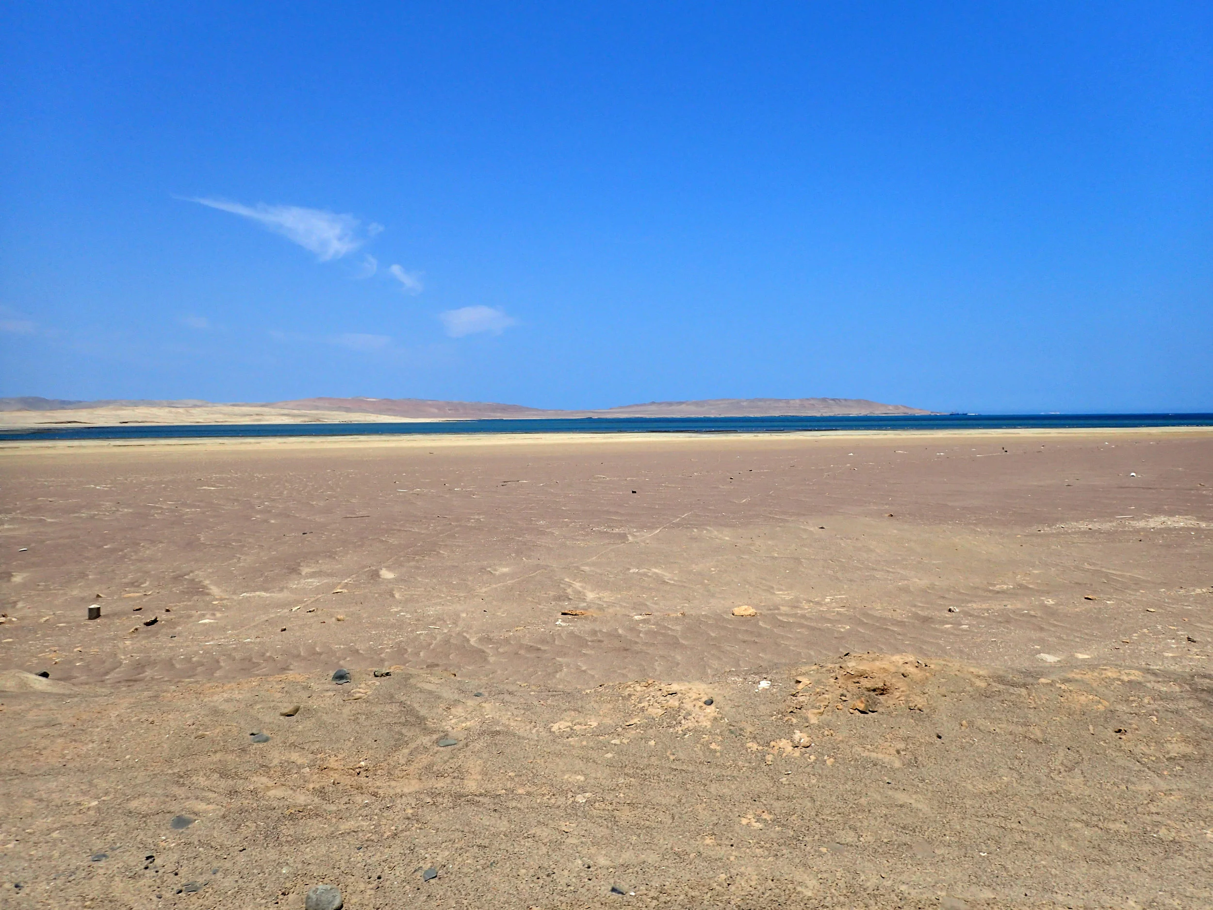 P1093261.jpg
