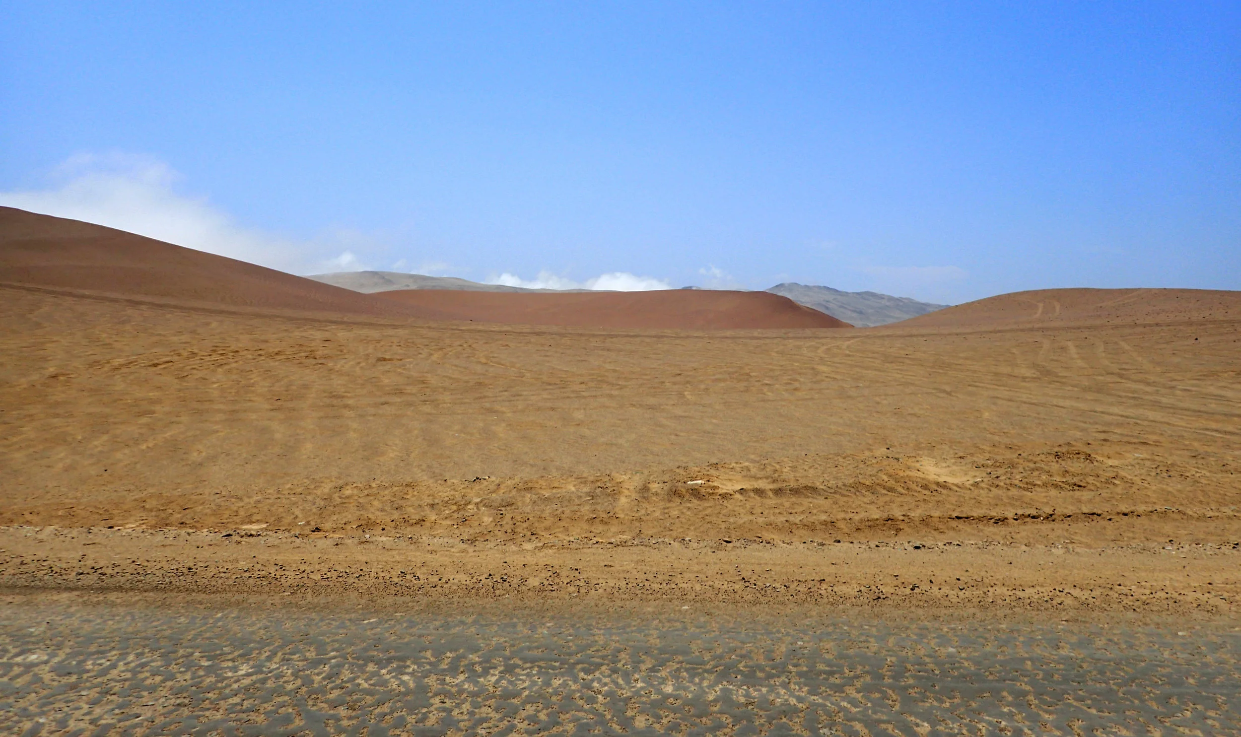P1093283.jpg