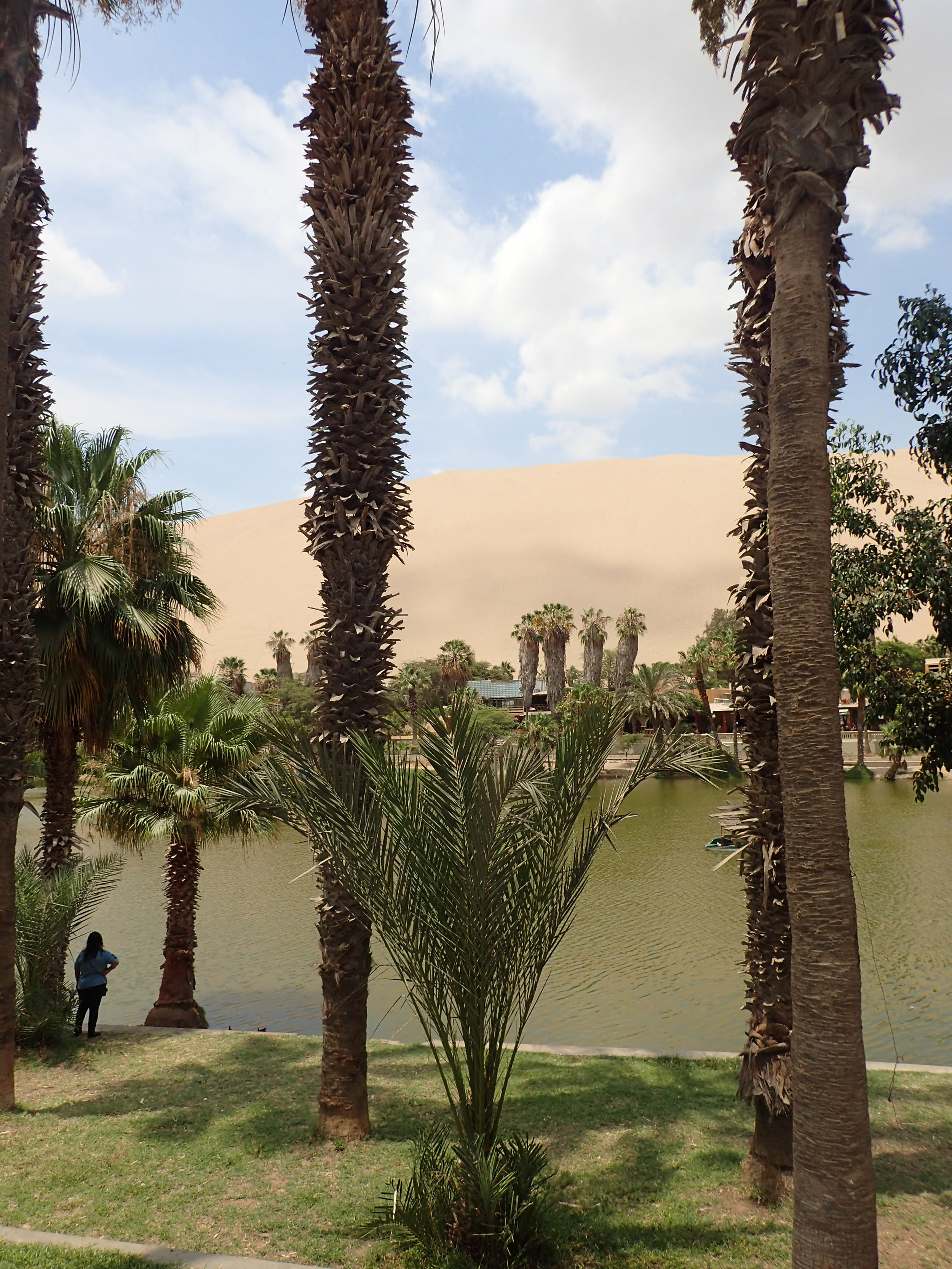 a literal oasis in the desert.jpg