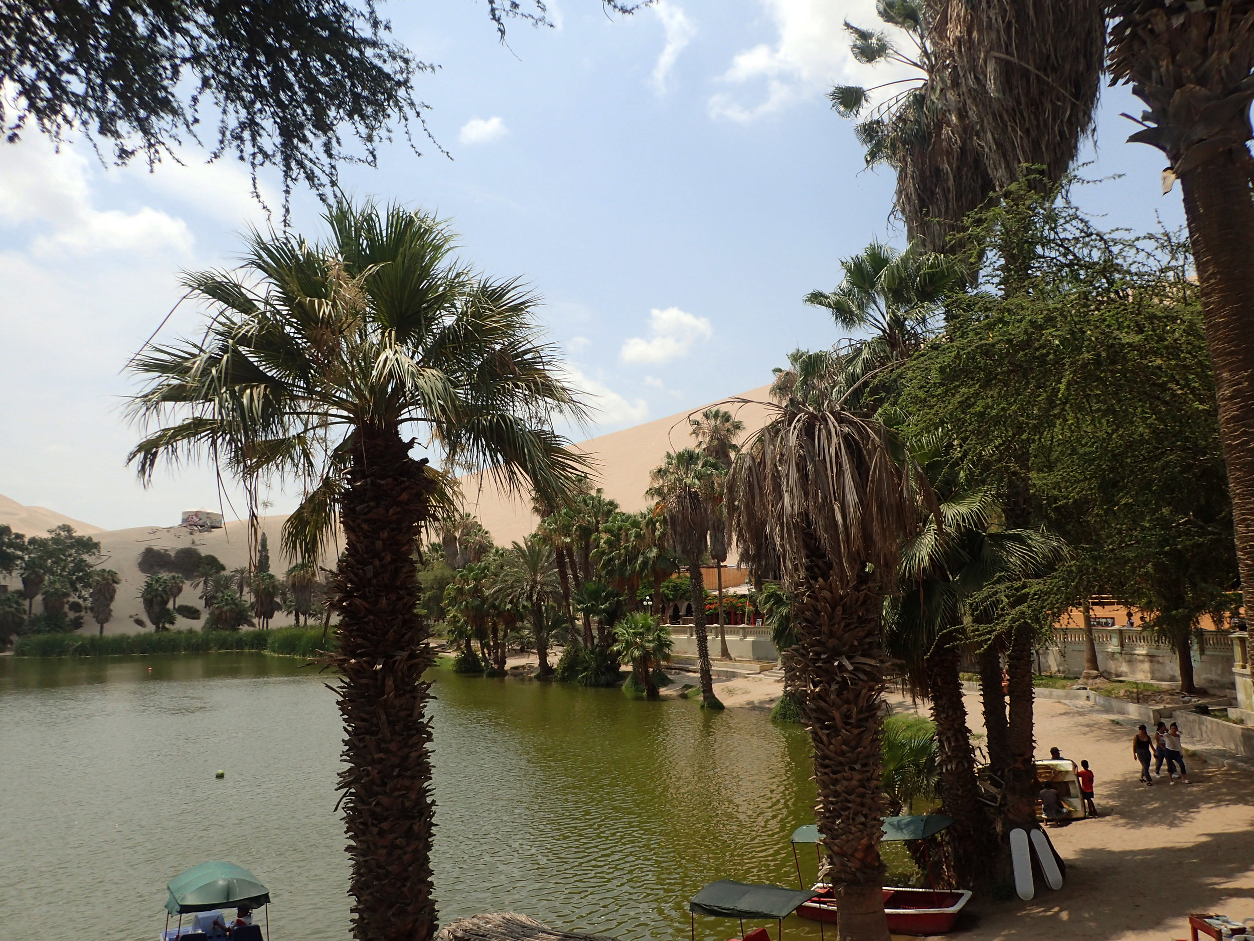 Huacachina oasis.jpg