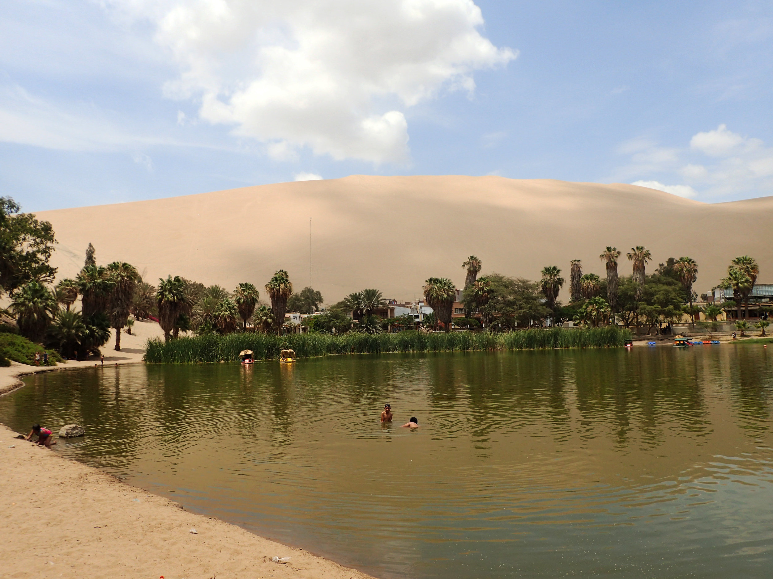 Huacachina's lagoon.jpg