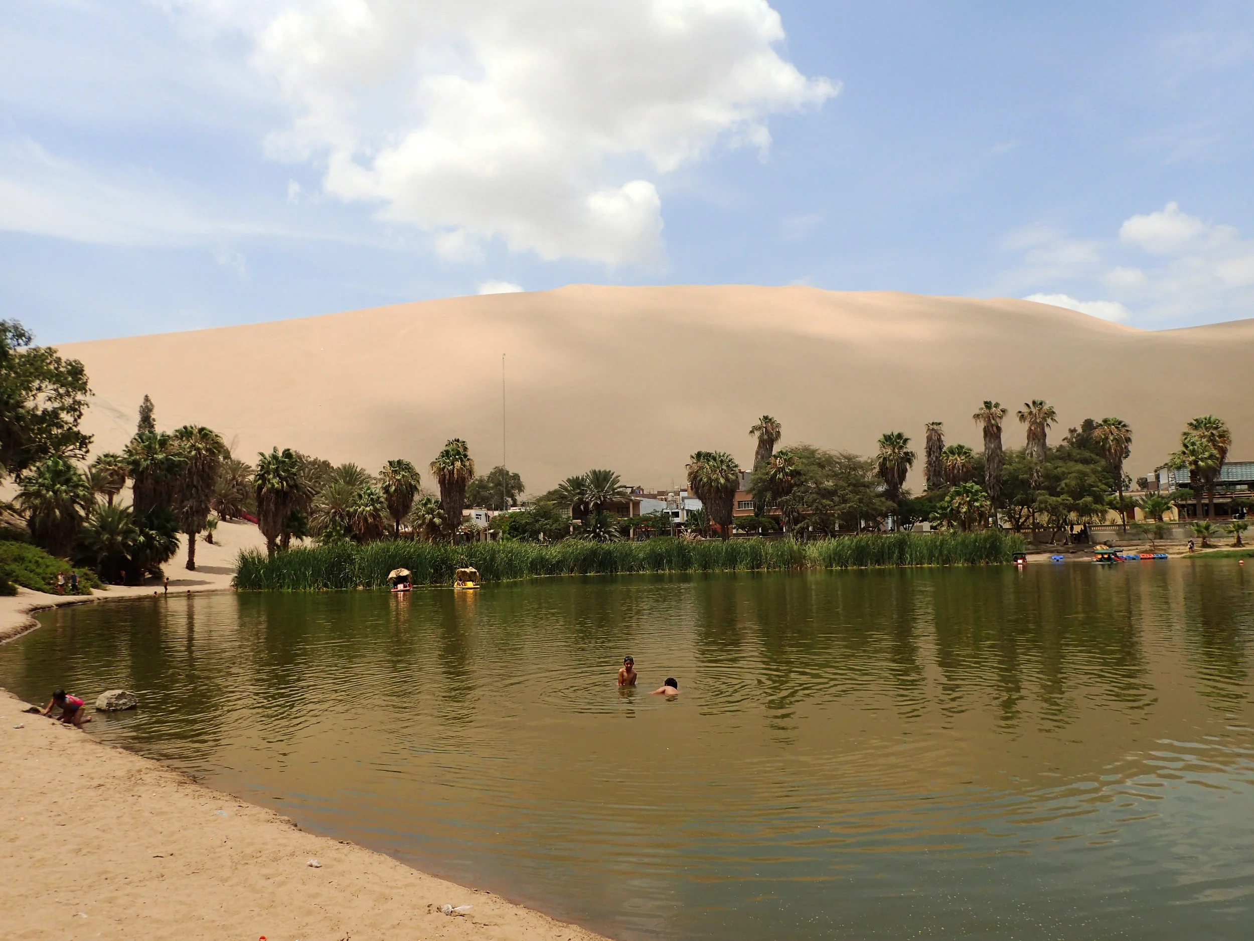 Huacachina's lagoon.jpg