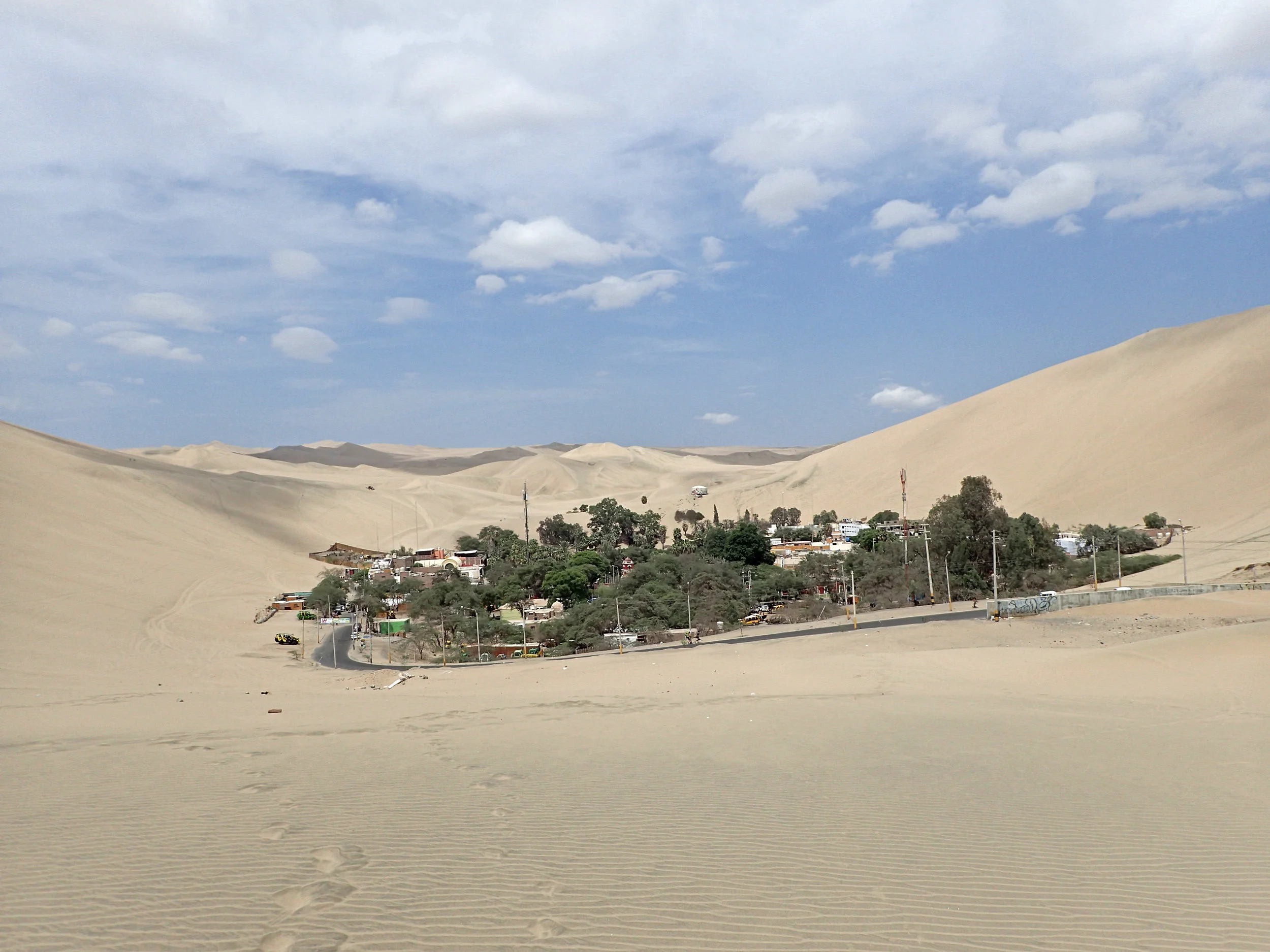 literal oasis.jpg