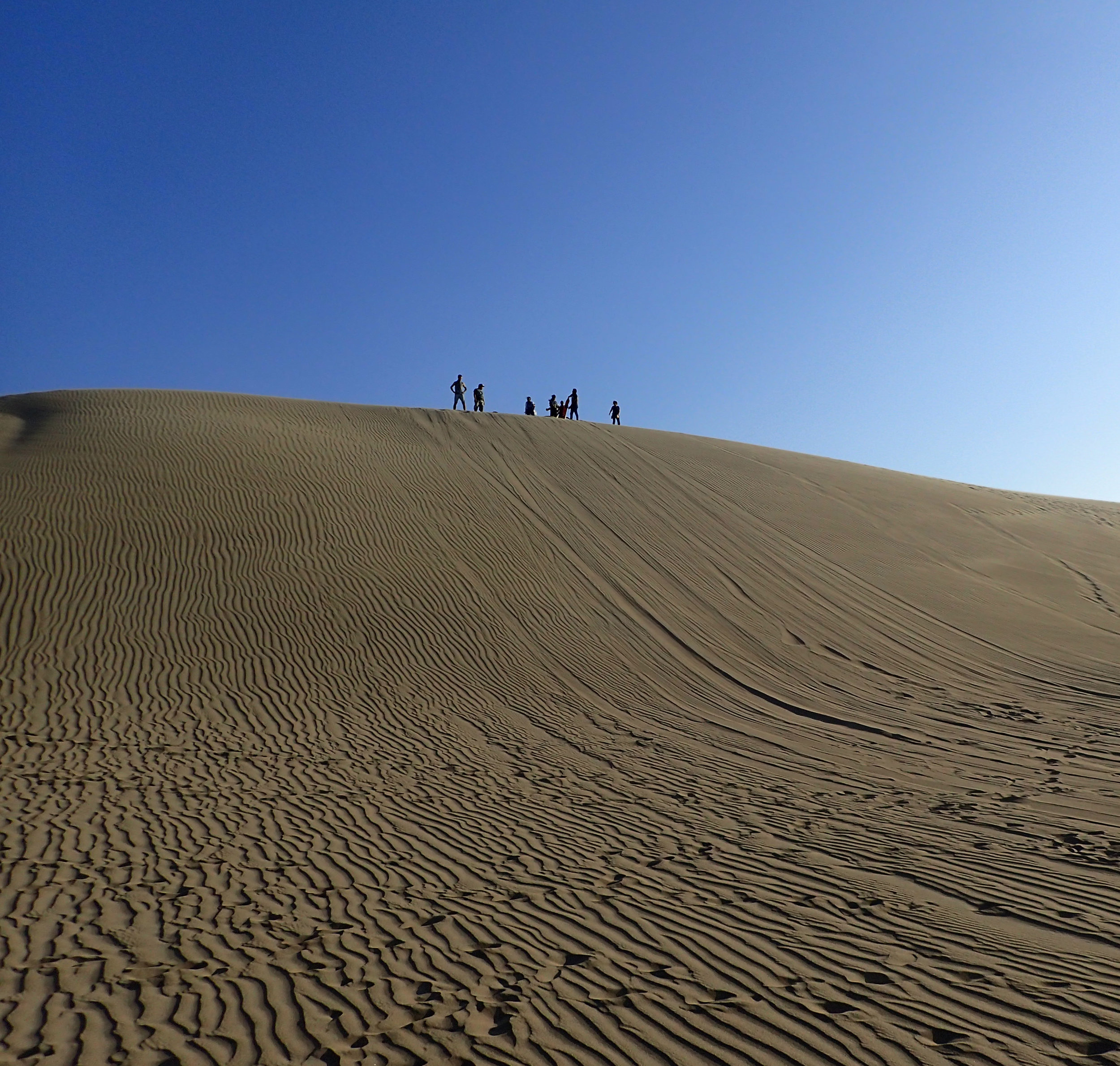 sand sledding hill.jpg