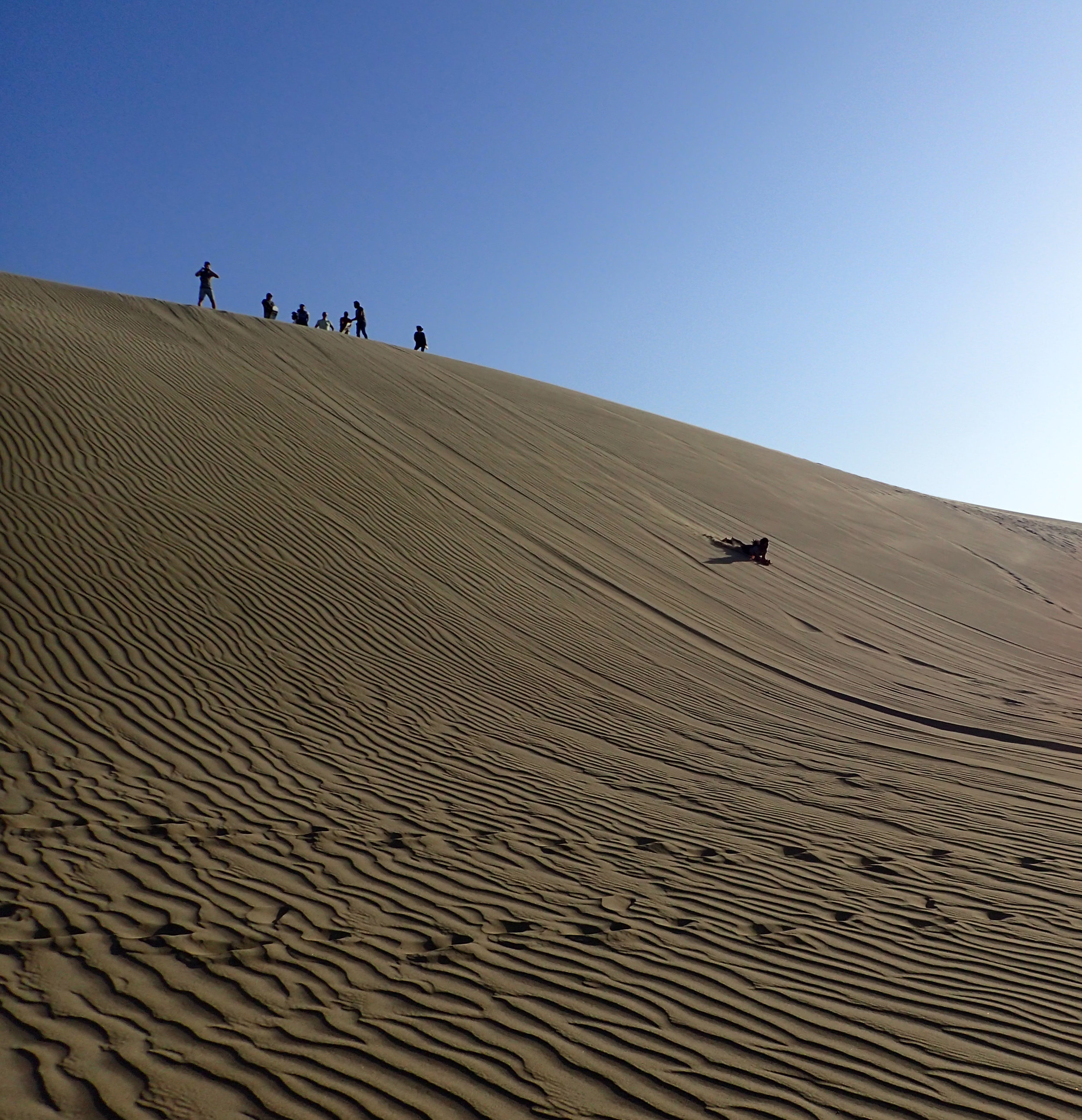 sand sledding.jpg