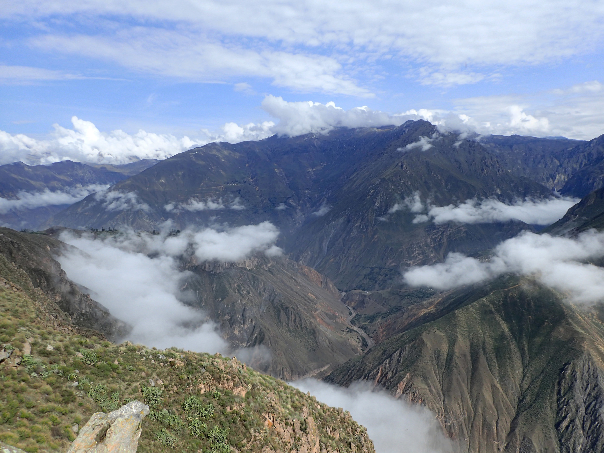 Canyon de Colca.jpg