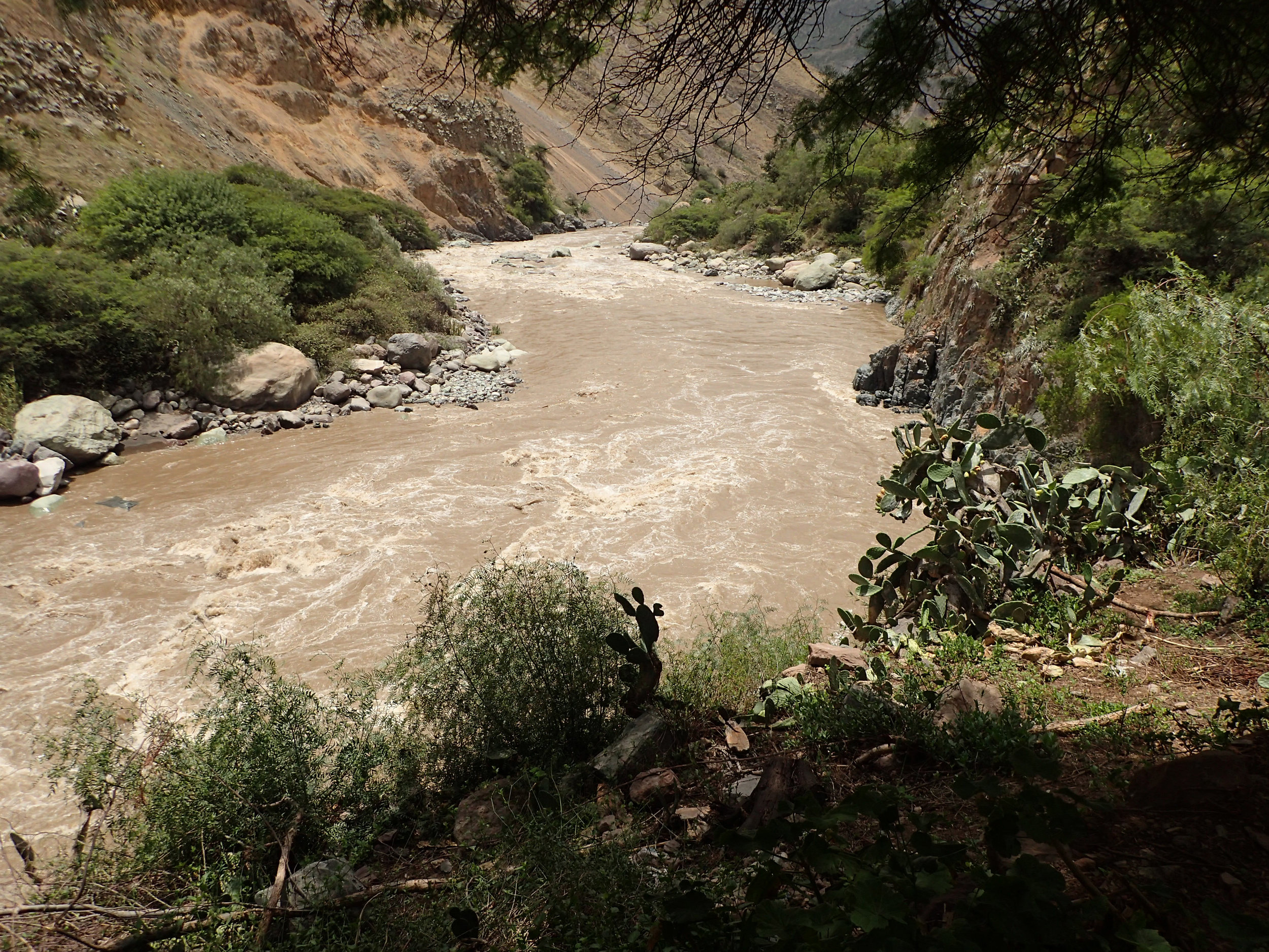 Rio Colca from Llahuar Lodge.jpg