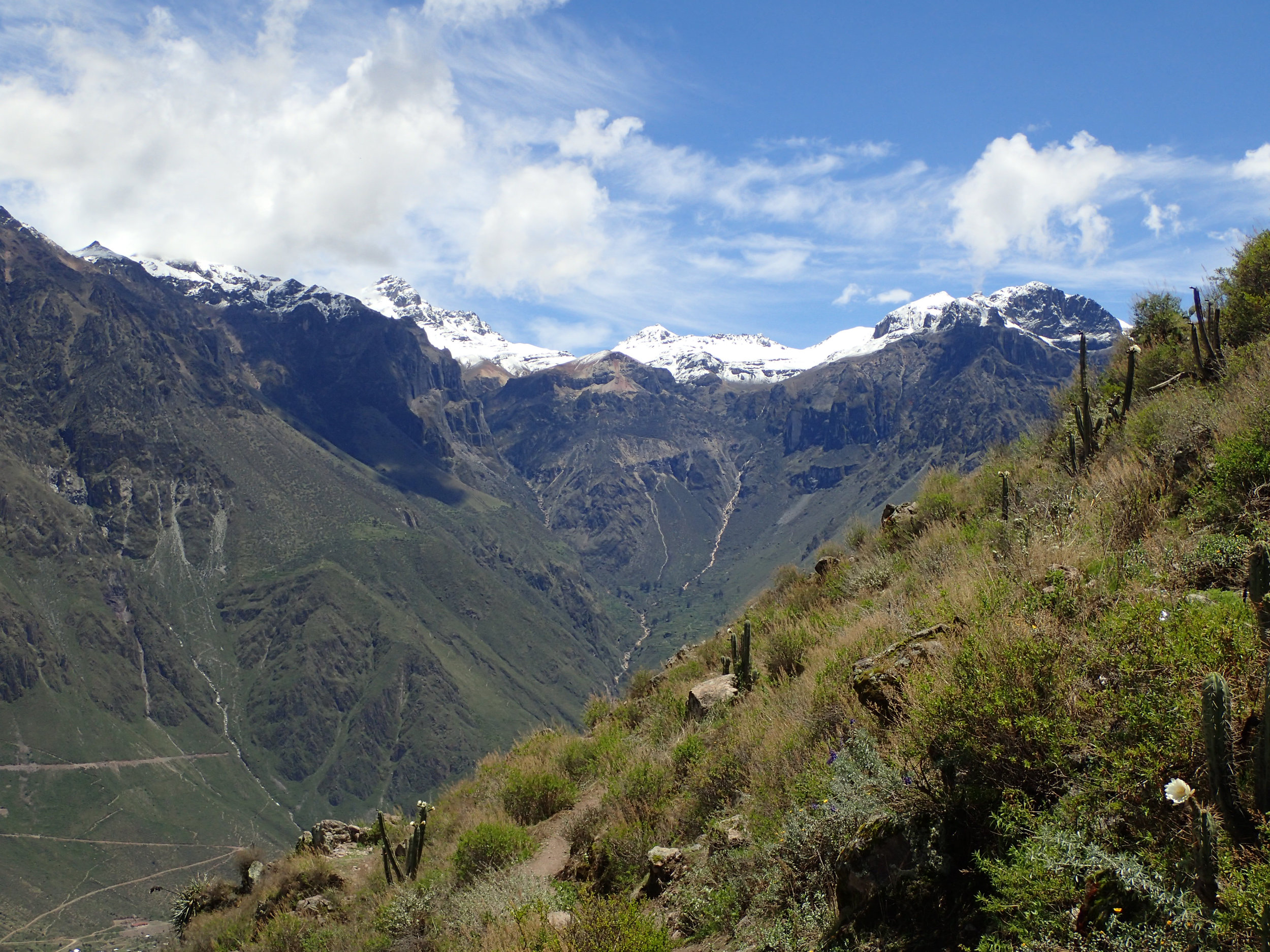 looking up from 3500 m.jpg