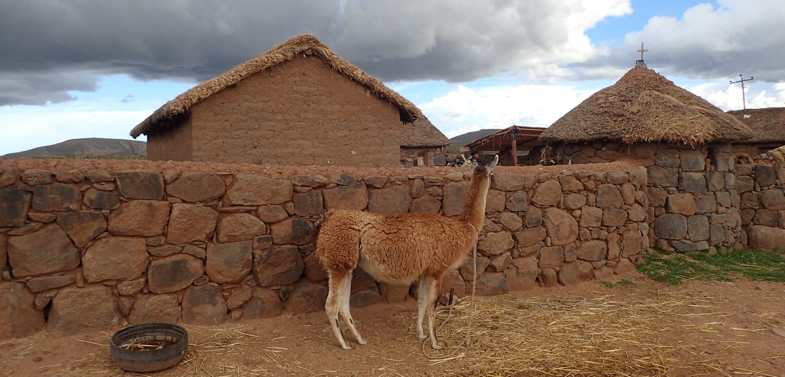 storm clouds and llama.jpg