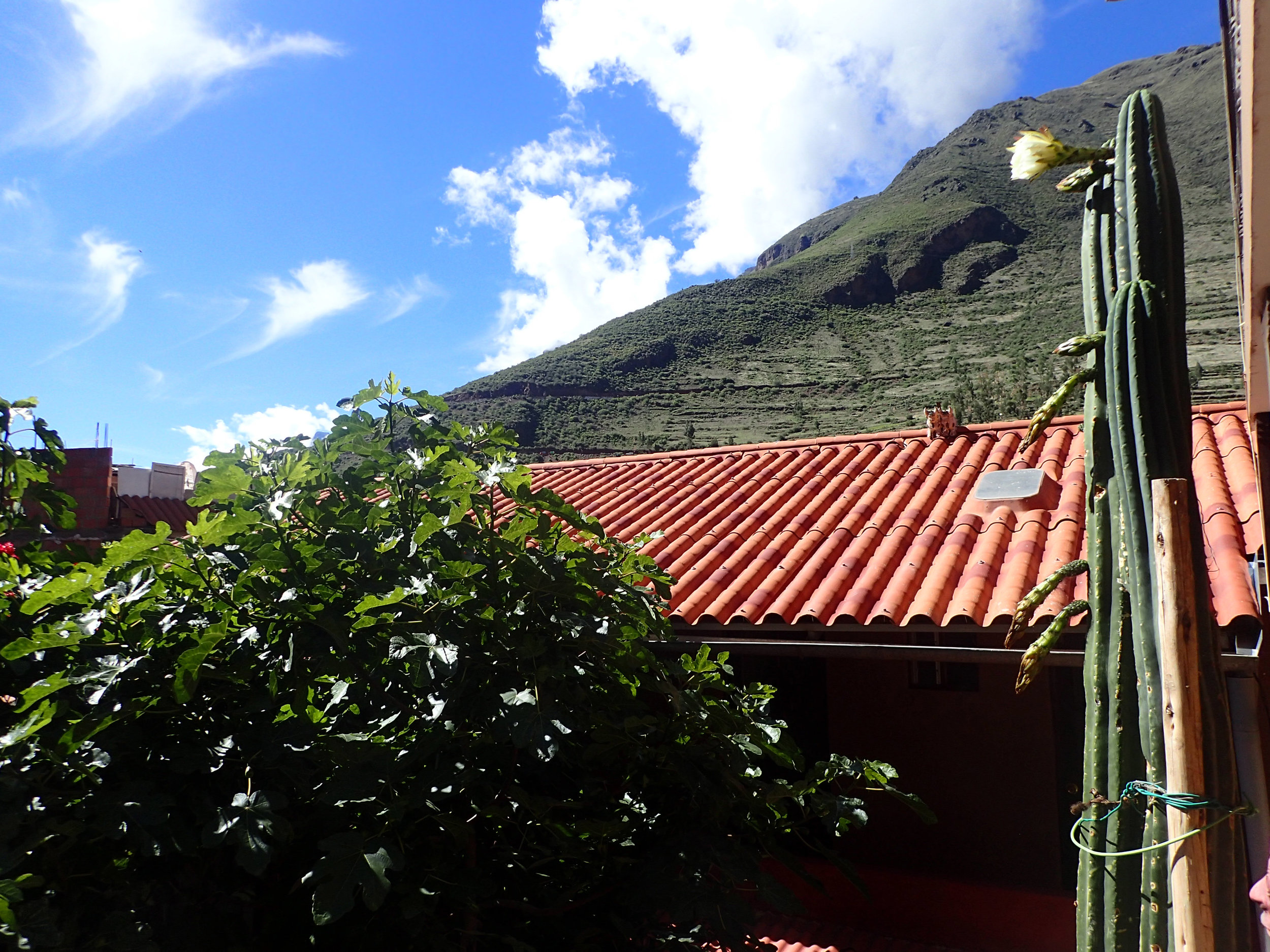 last morning in Pisac.jpg