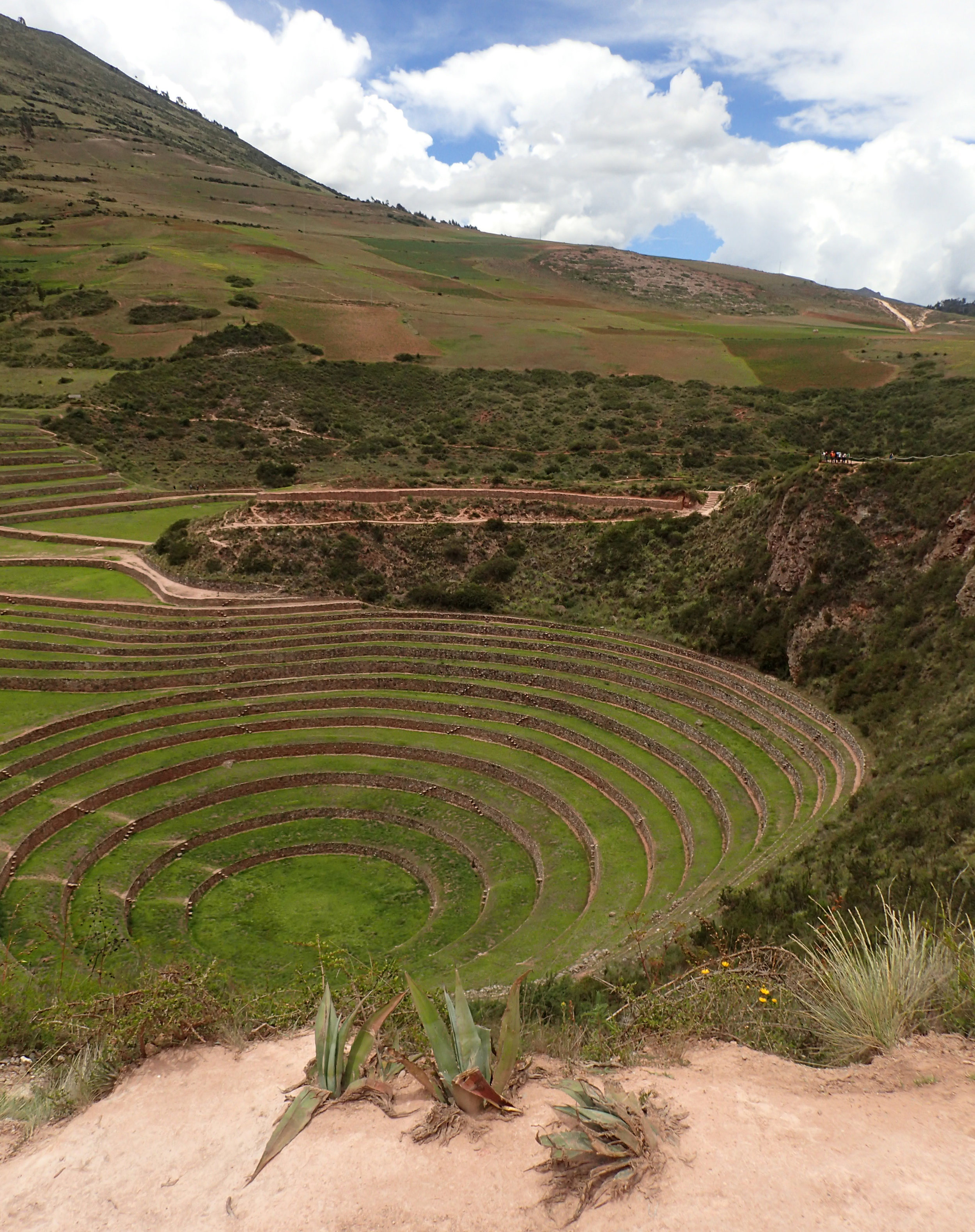 moray crop circles.jpg