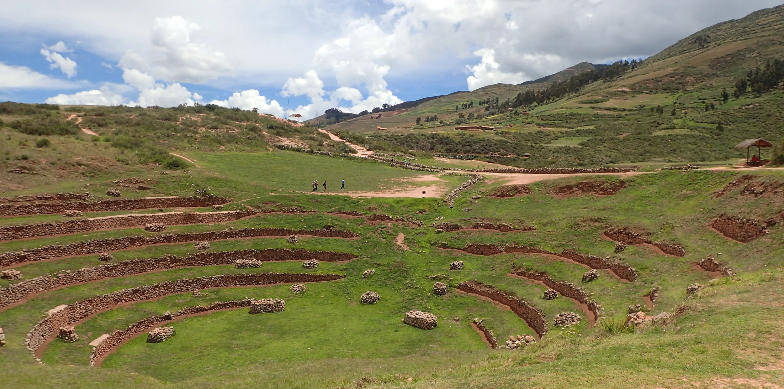 P1274784.jpg