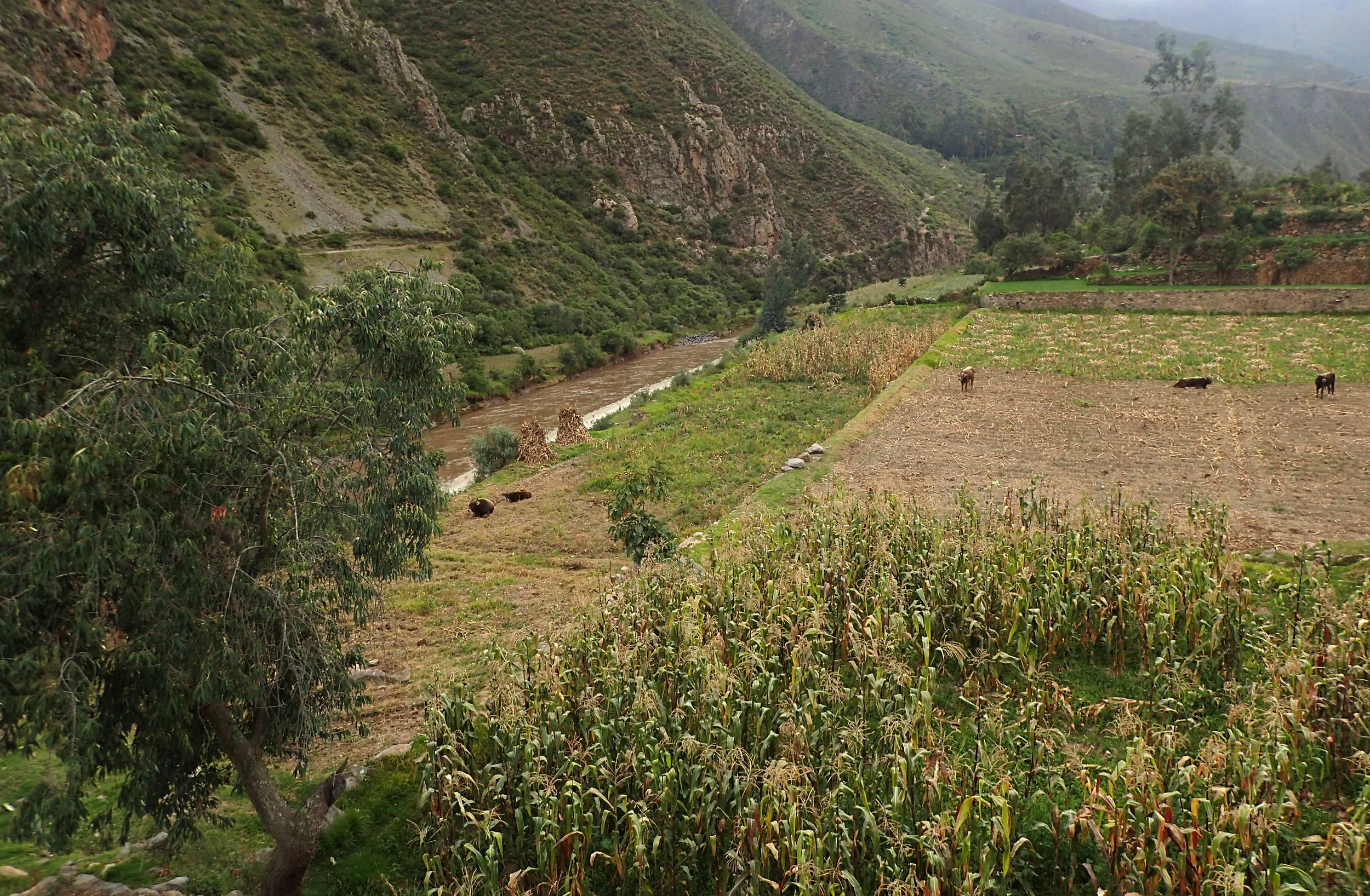 Urubamba River.jpg