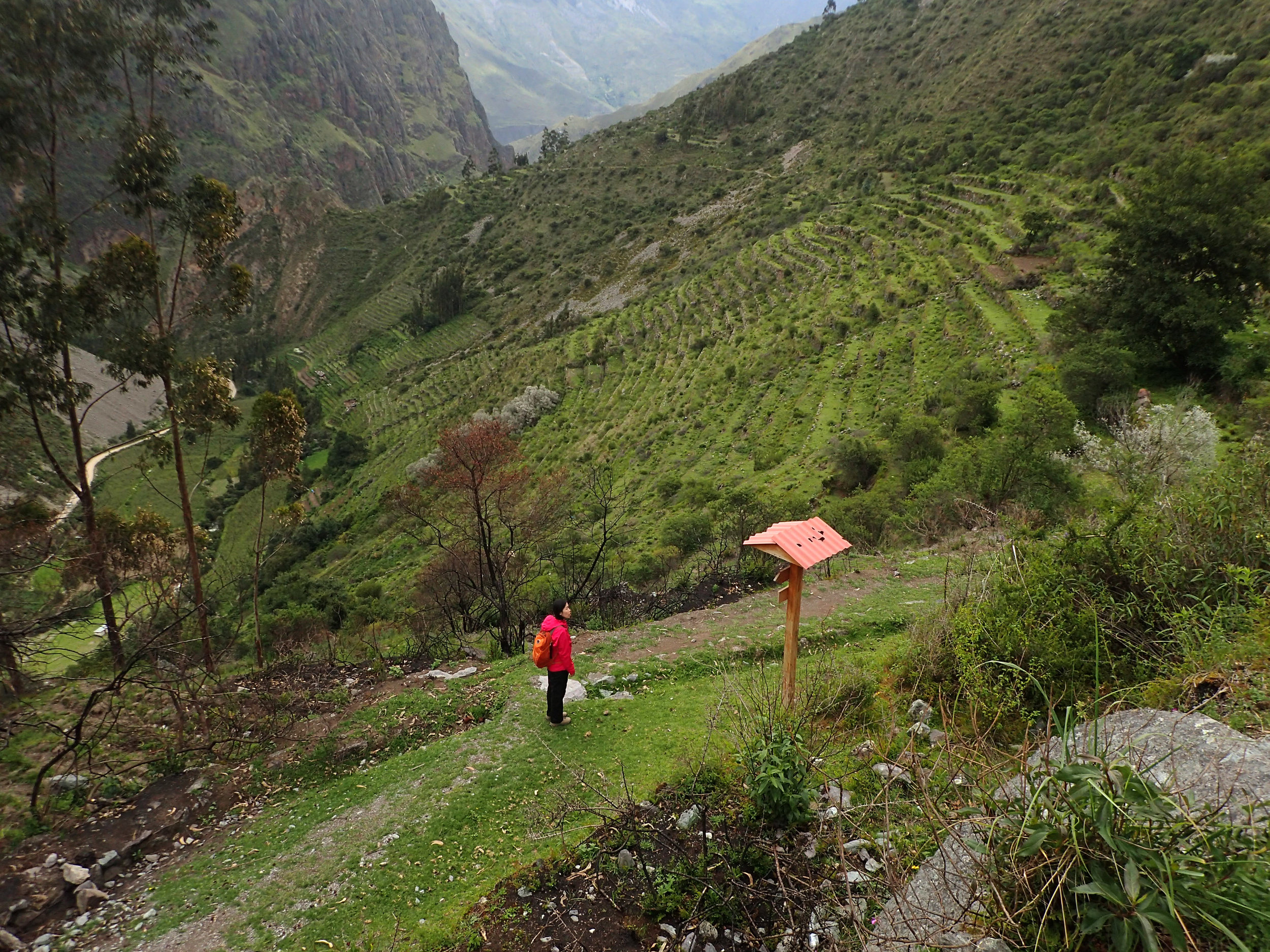 lonely Ciao on hike.jpg