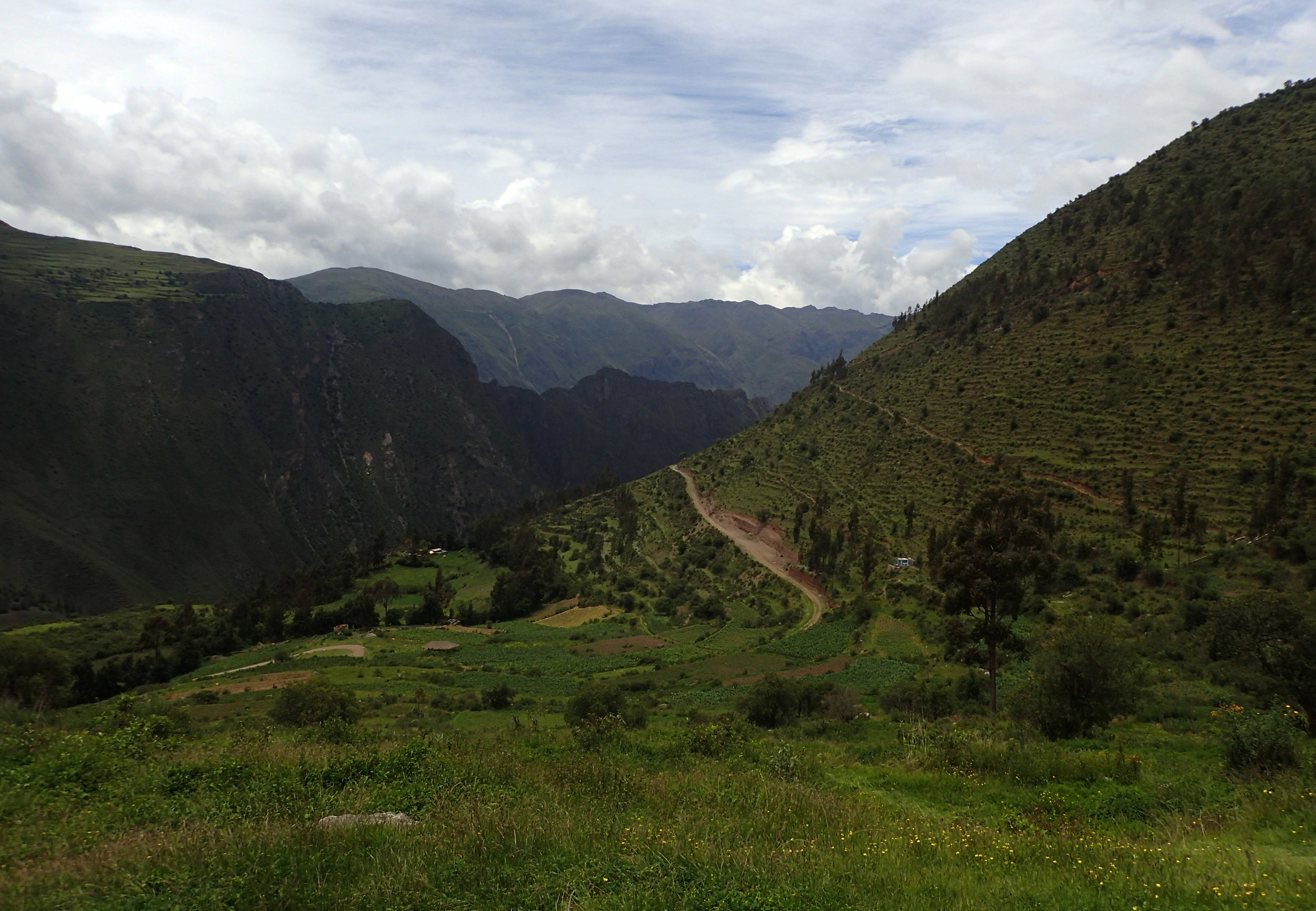 view from ruins.jpg