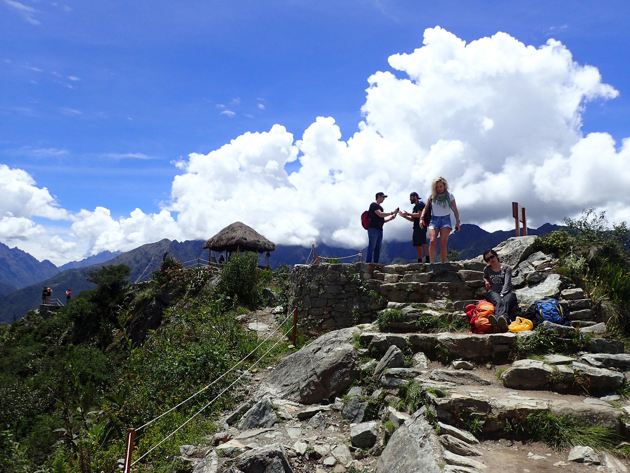 hanging at the summit.jpg