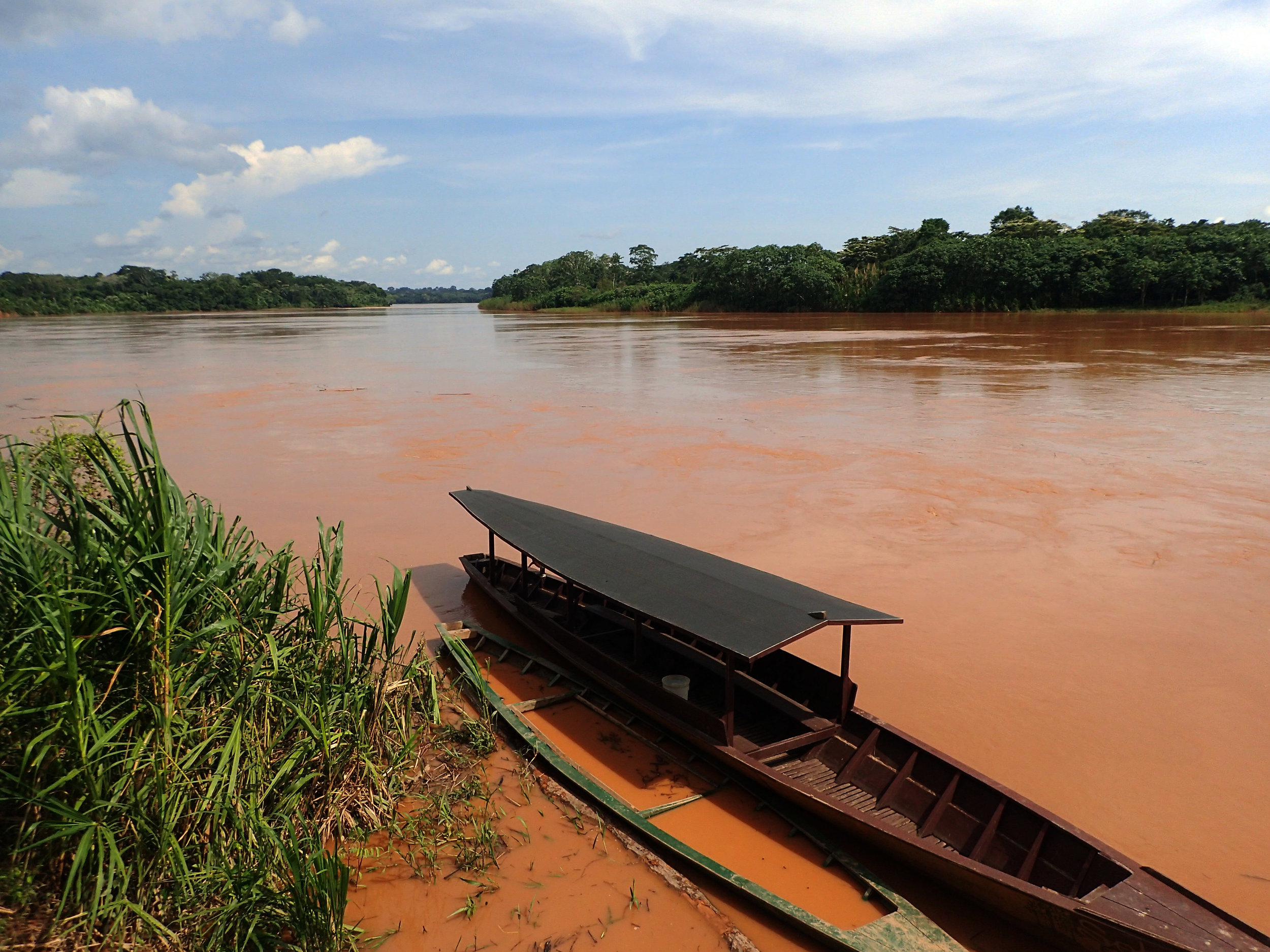 Rio Tambopata-high waters.jpg