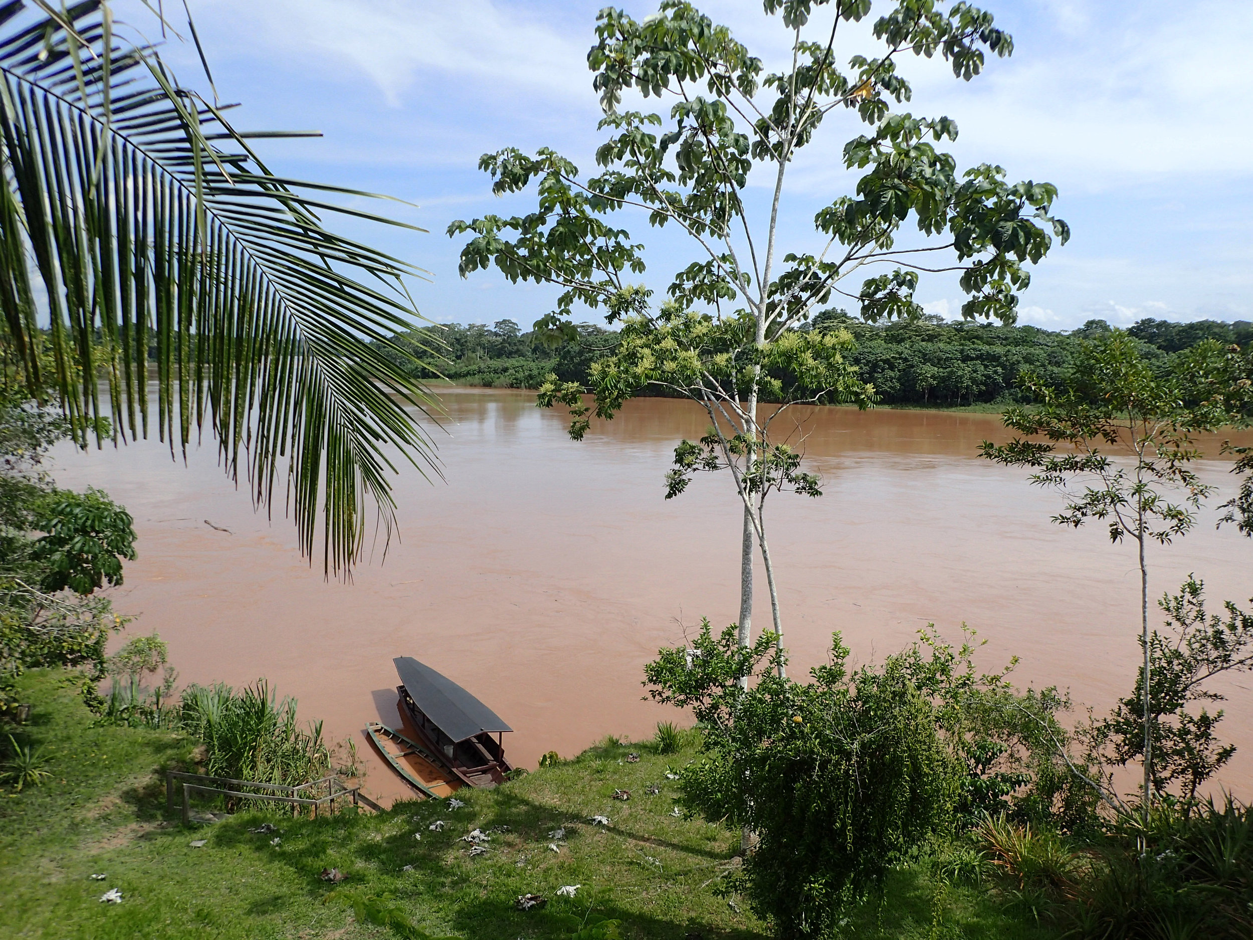 view from the deck.jpg