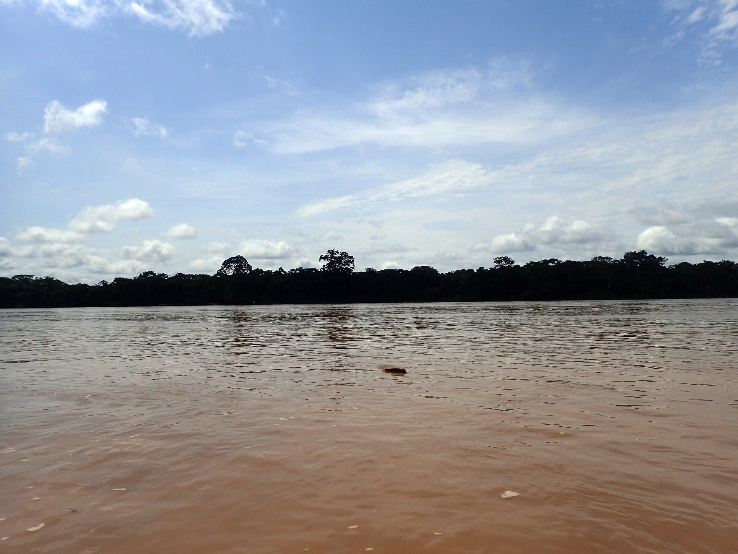 Amazon headwaters.jpg