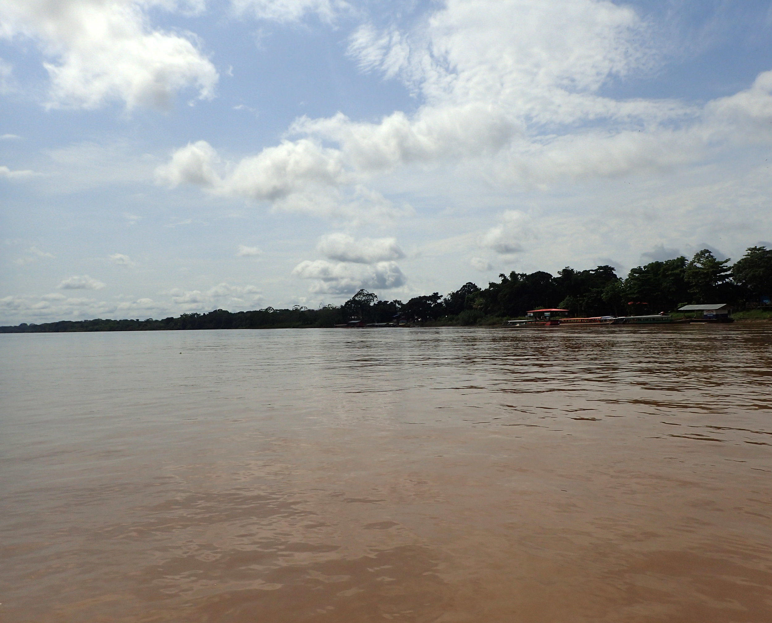 Madre de Dios river.jpg